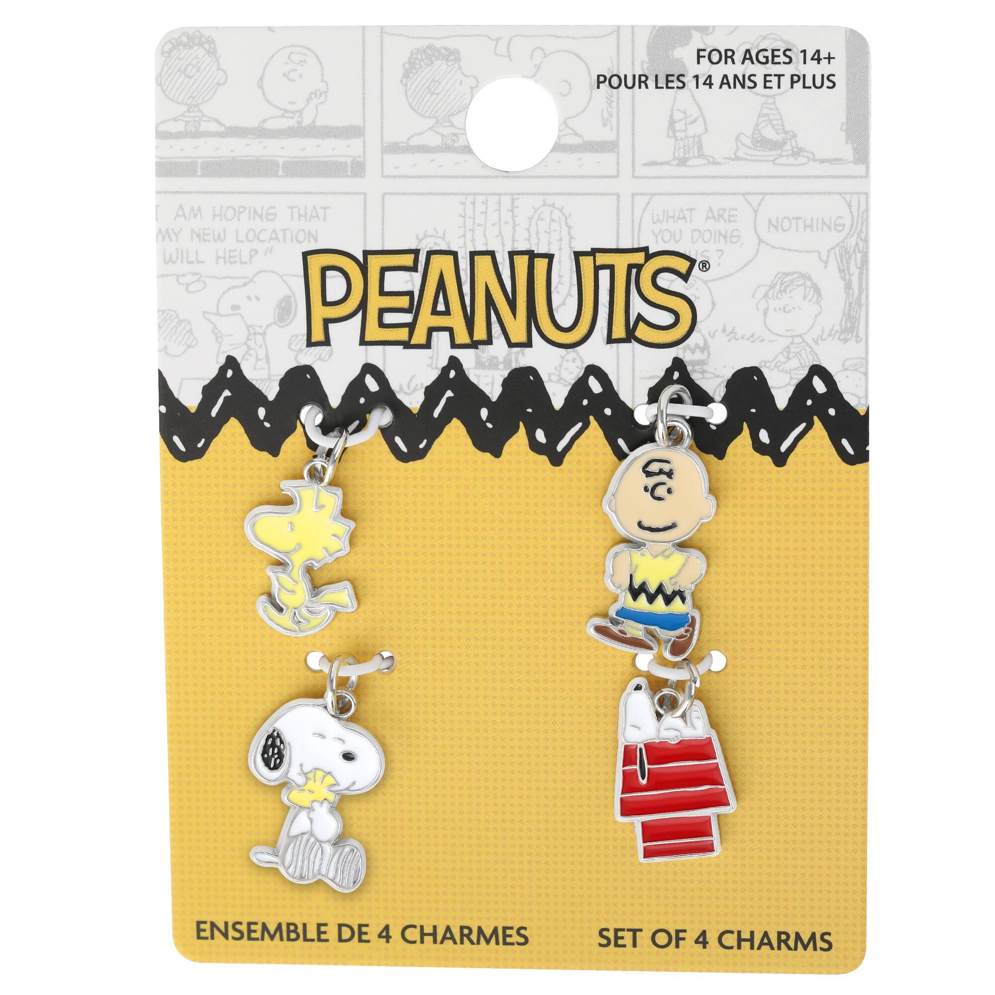 Peanuts® Snoopy & Charlie Brown 4-Piece Enamel Charm Set
