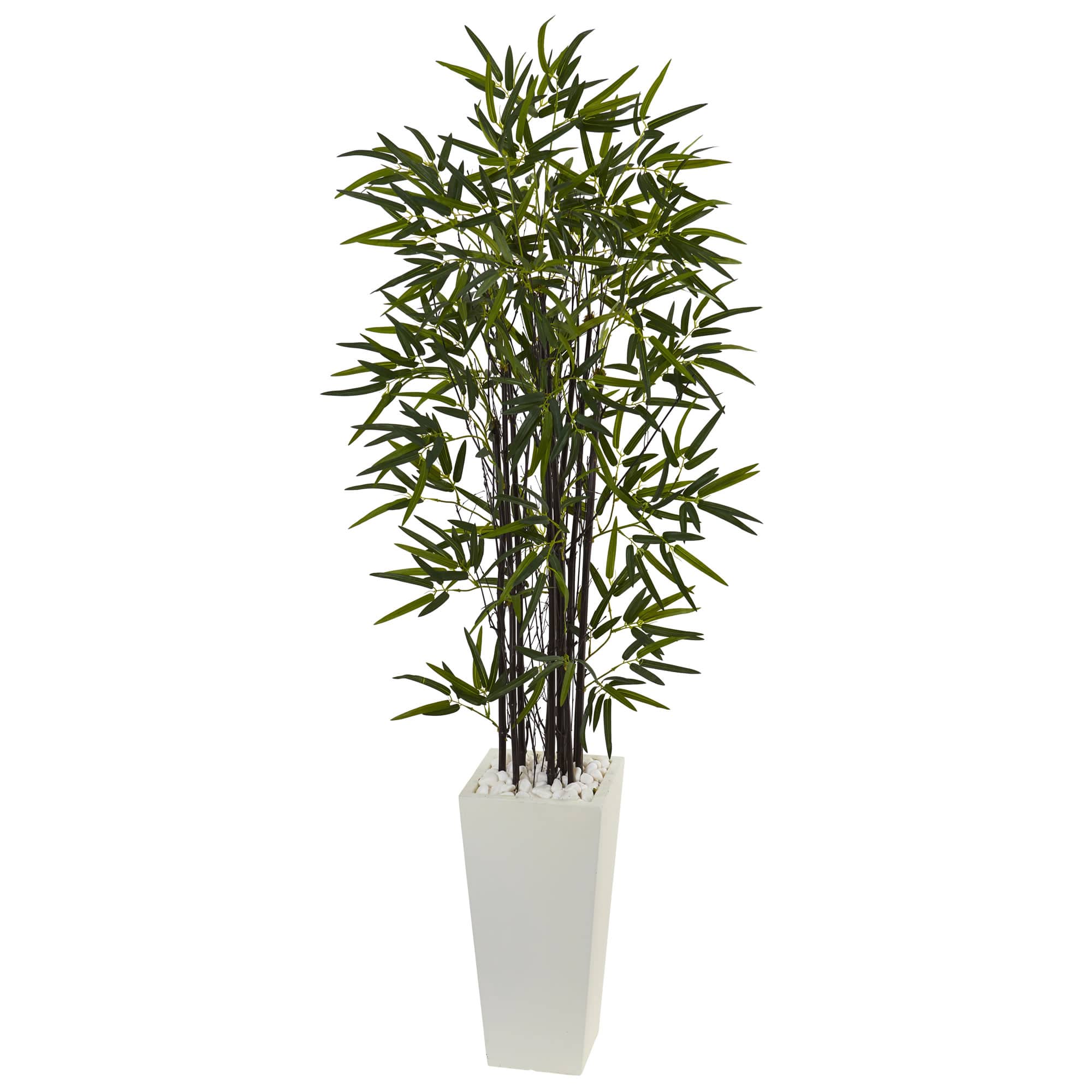 5.5ft. Black Bamboo Tree in White Tower Planter