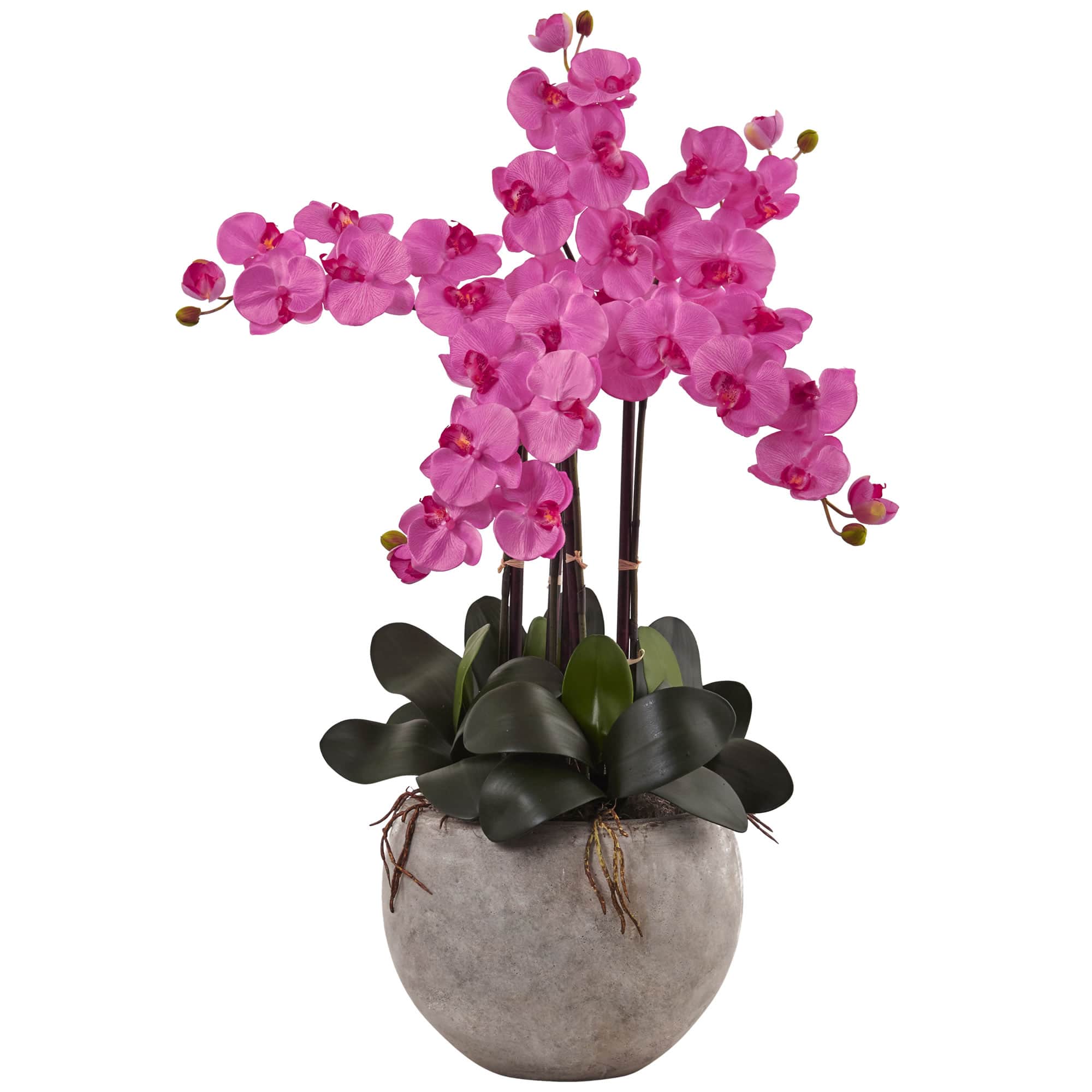 3ft. Moth Orchid Arrangement in Sand Colored Bowl