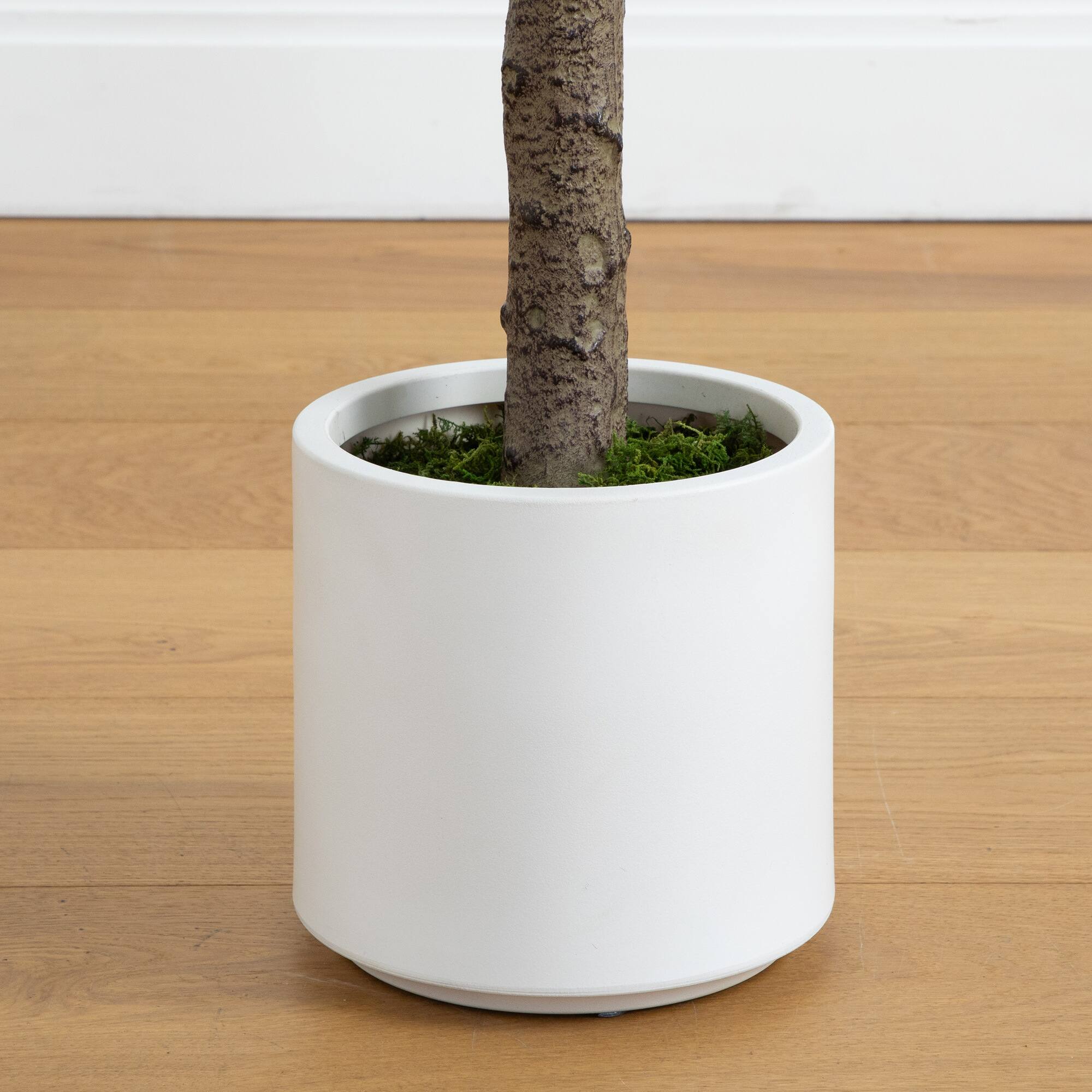6ft. Artificial Minimalist Jacaranda Tree in White Decorative Planter