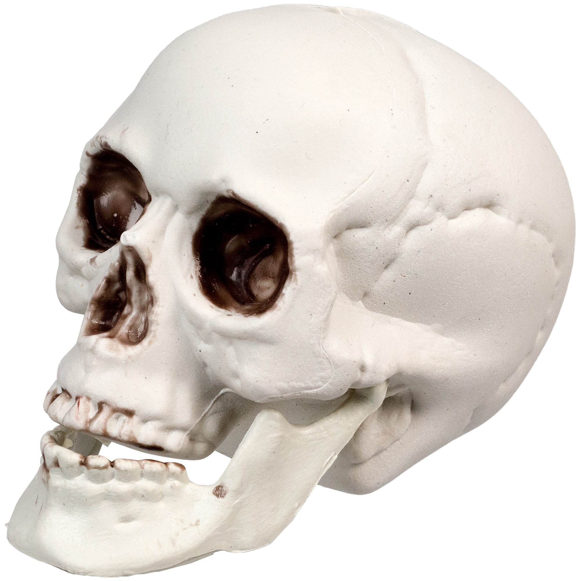 3.5'' Skull Head Halloween Decorations, 6ct.