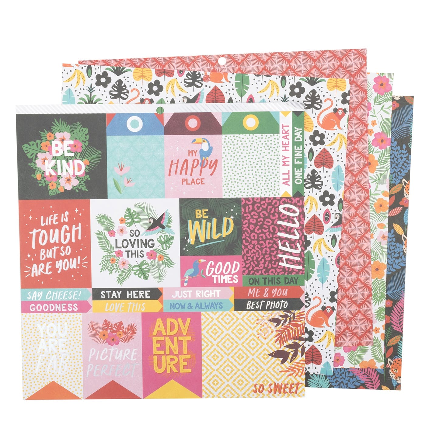 DCWV® 12" x 12" Premium Paper Wild Floral, 36 Sheets