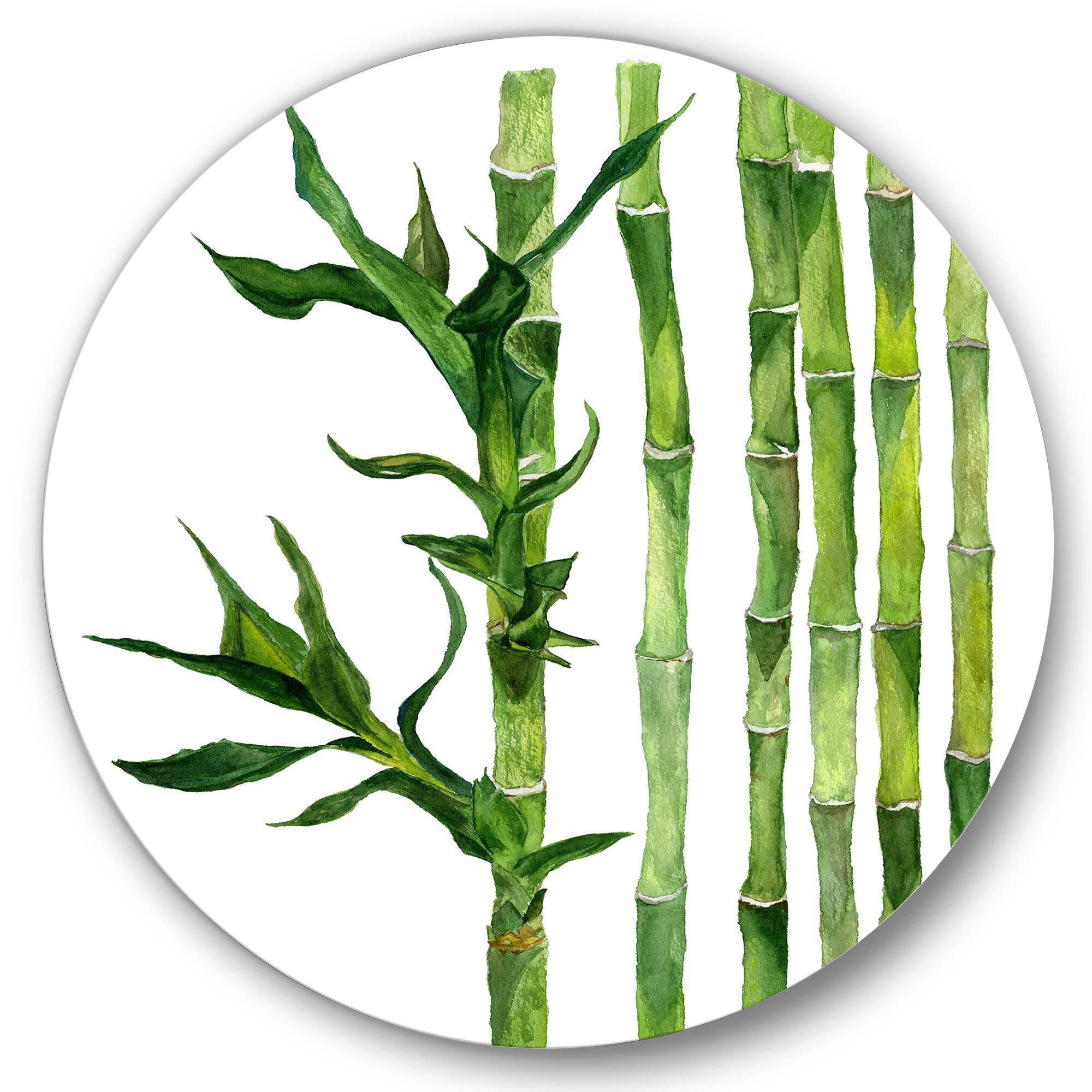 Designart - Bamboo Branches In The Forest III - Tropical Metal Circle Wall Art