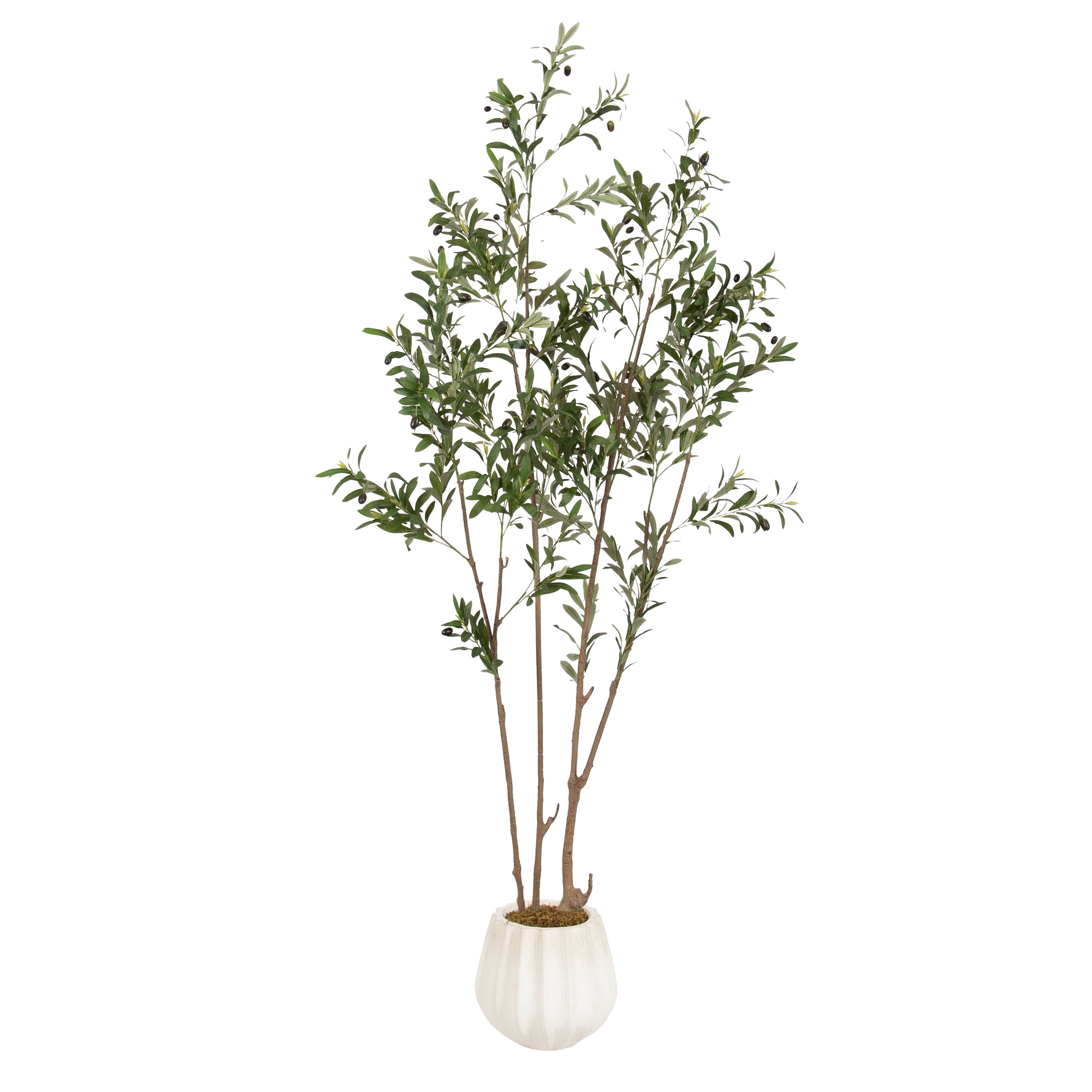 Kate and Laurel 7ft. Oliveira Faux Olive Tree with Claudel Scalloped Planter