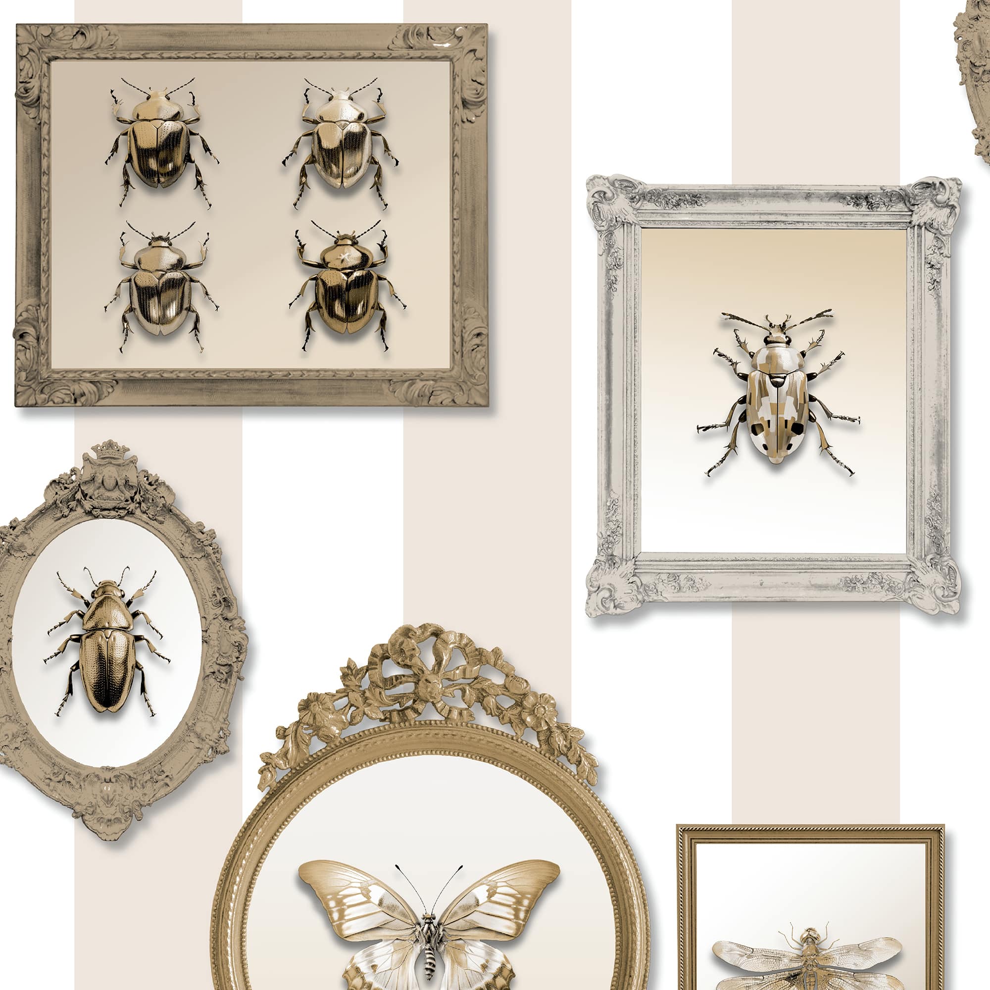 Designs Direct Entomology Gallery Wallpaper