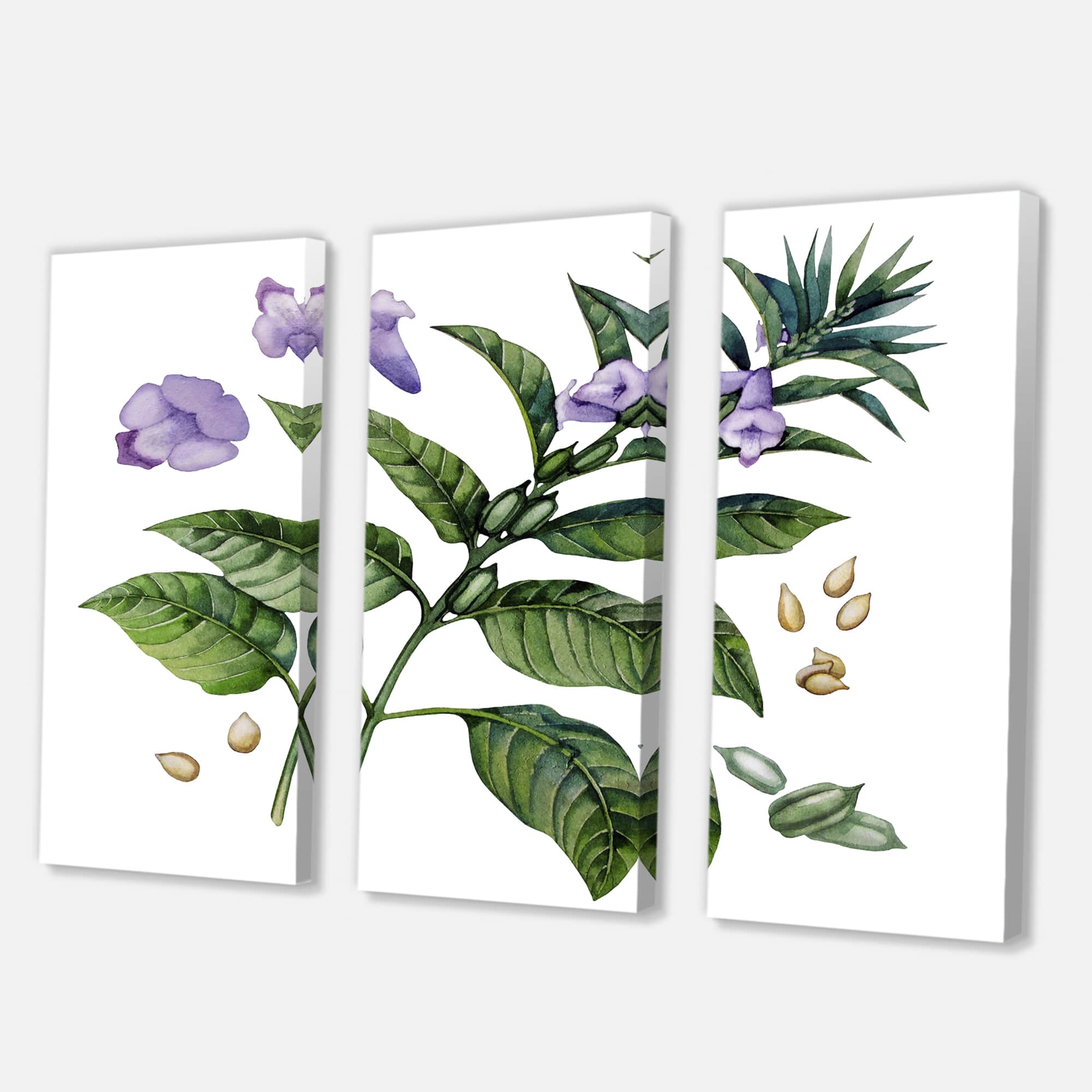 Designart - Purple Sesame Flowers WIth Green Leaves - Traditional Canvas Wall Art Print