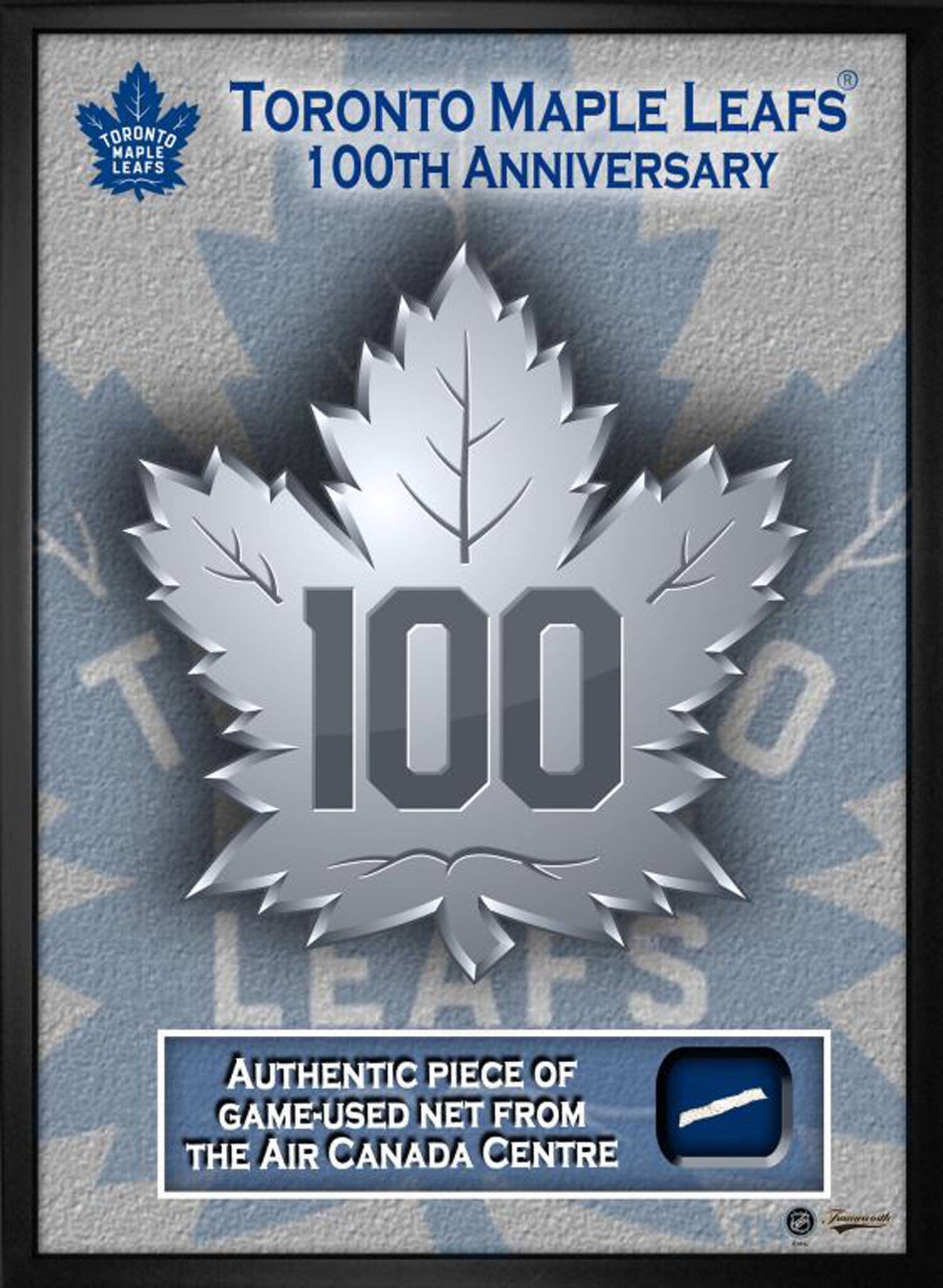 Toronto Maple Leafs Framed 16" x 20" 100th Anniversary With Game-Used Net 18" x 22"