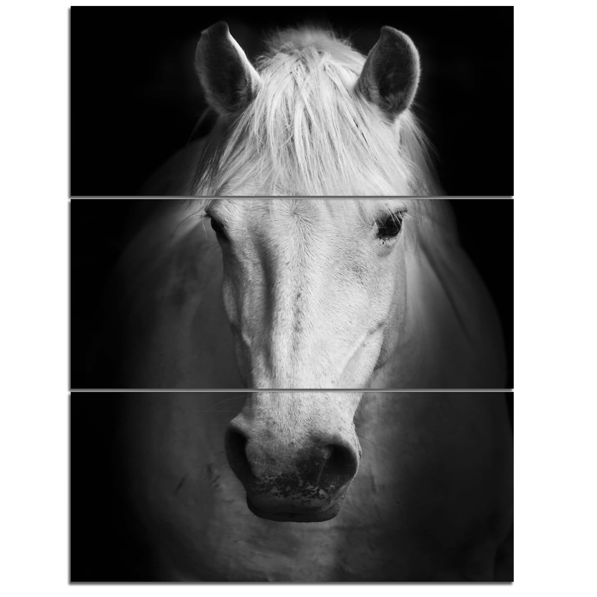 Designart - White Horse Black and White - Animal Canvas Art Print