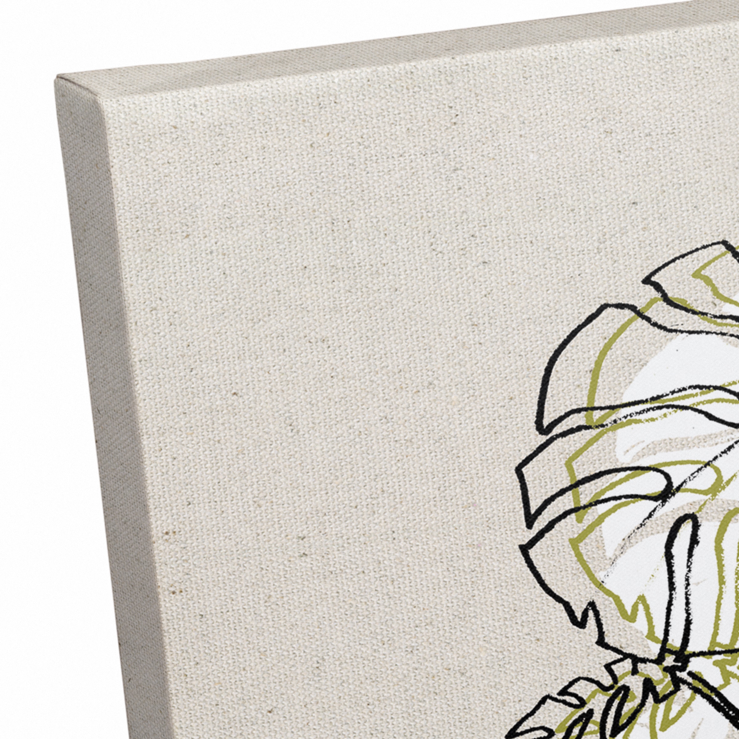 Design Directs Monstera Drawing Canvas Wall Art