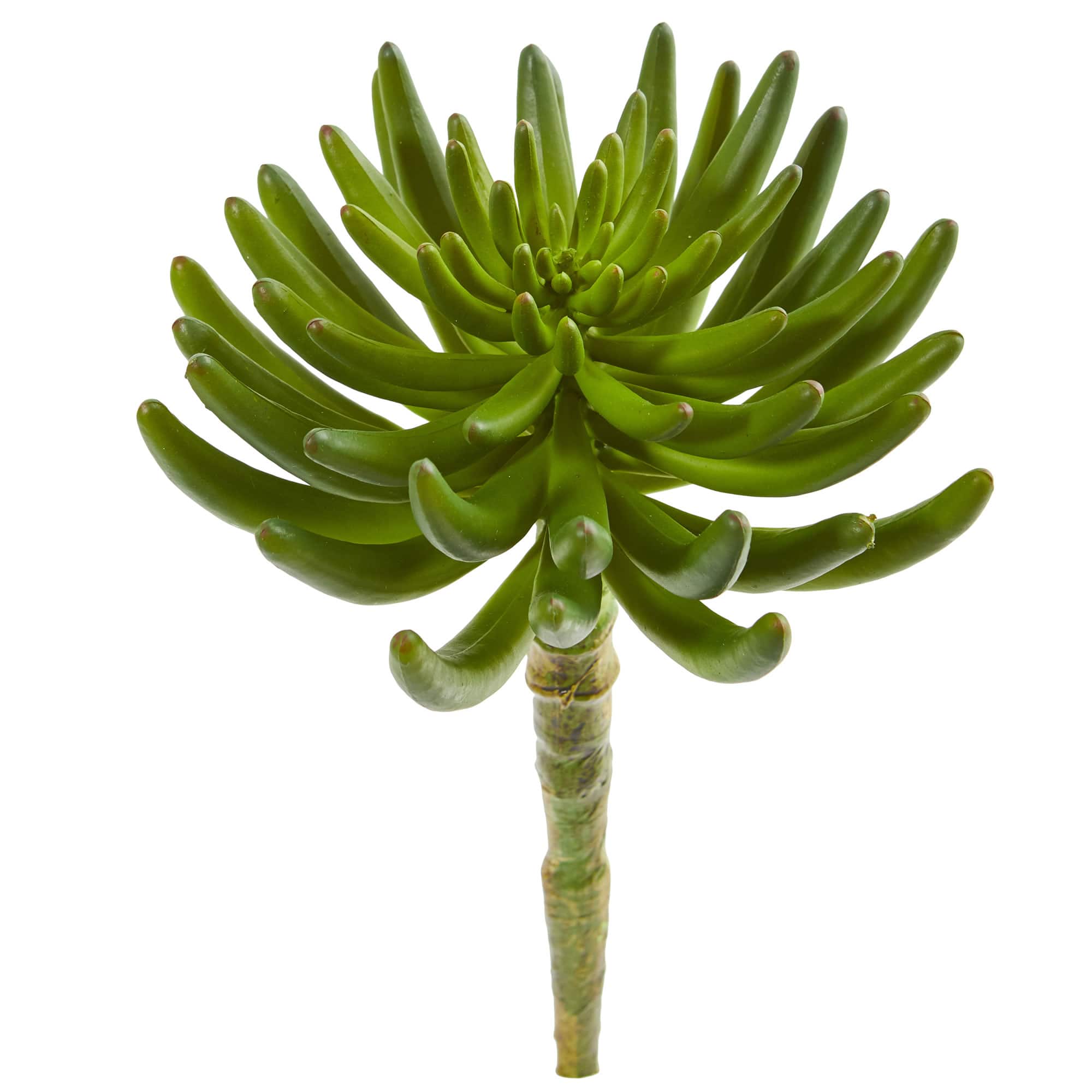 Succulent Pick, 6ct.