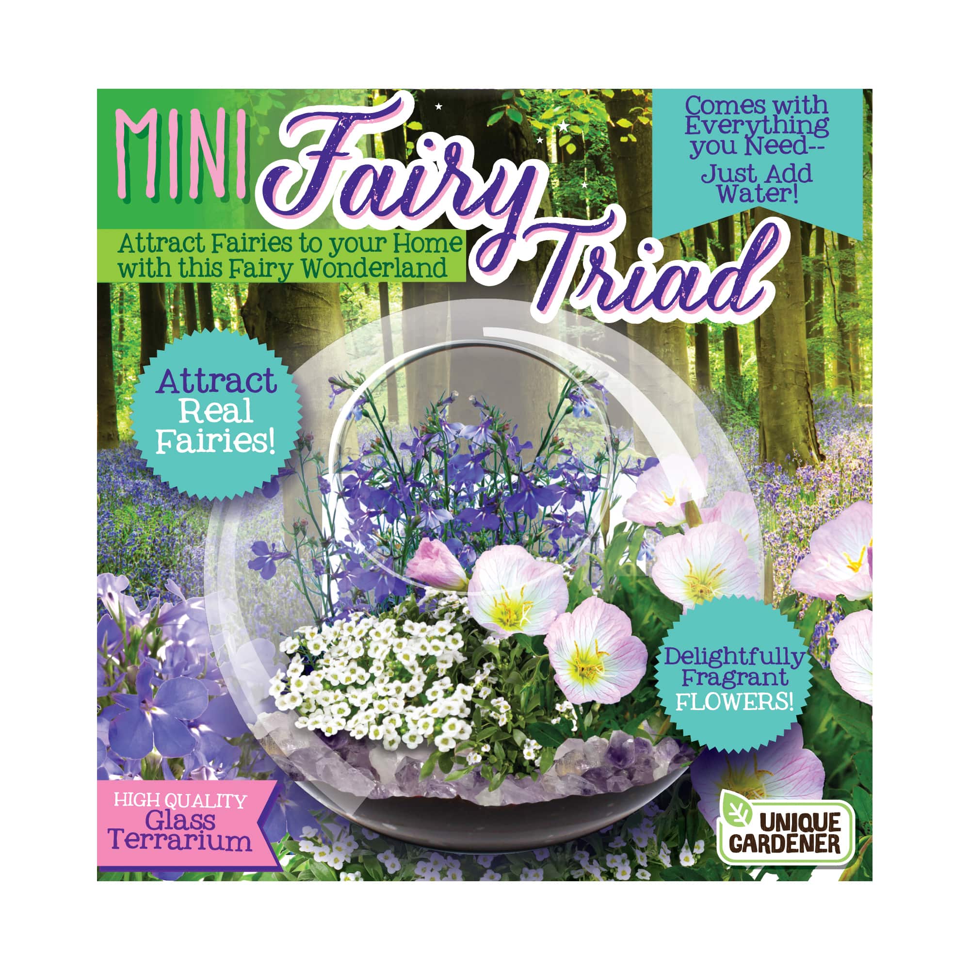 Glass Terrarium - Mini Fairy Triad
