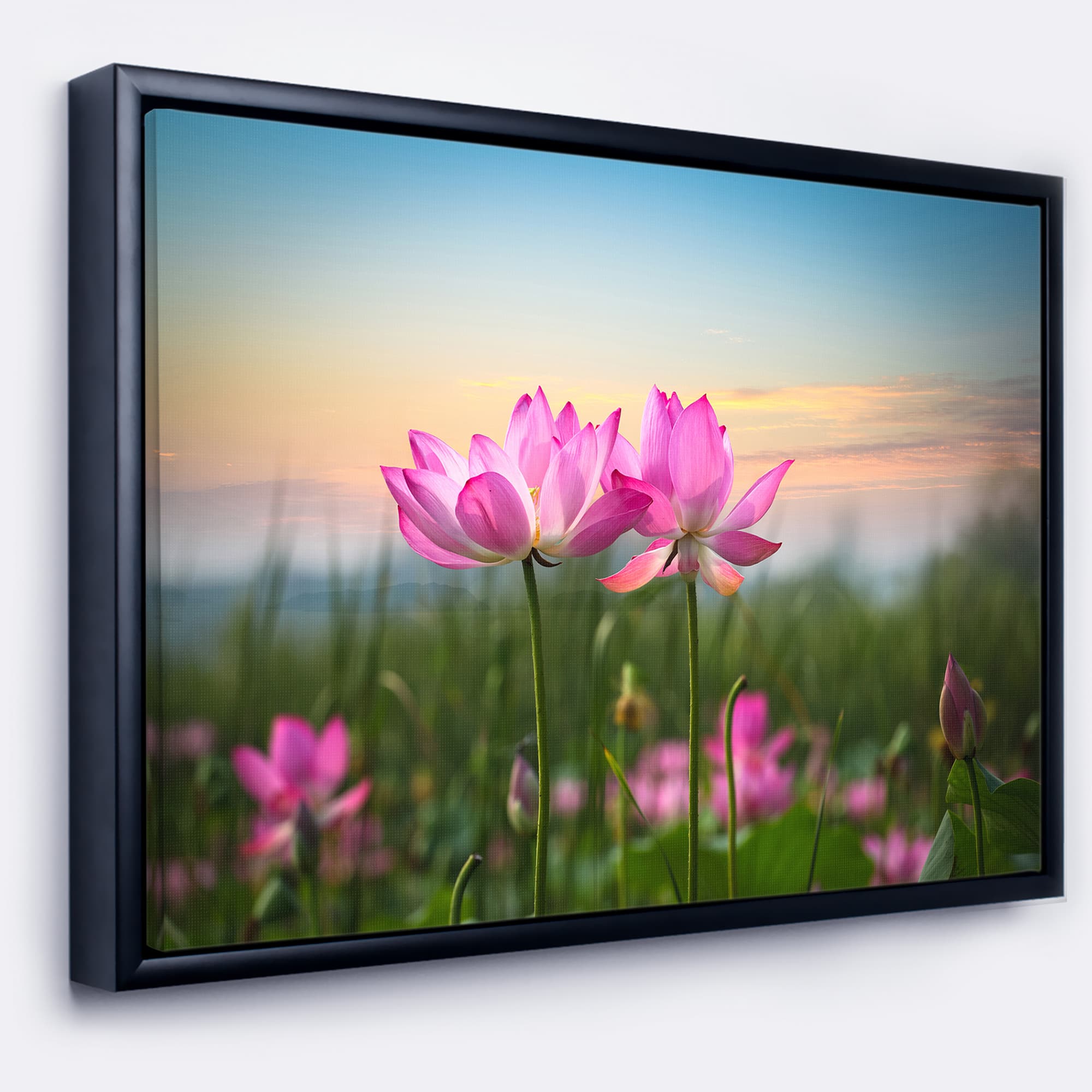 Designart - Blooming Lotus Flowers at Sunset - Floral Photo Framed Canvas Print