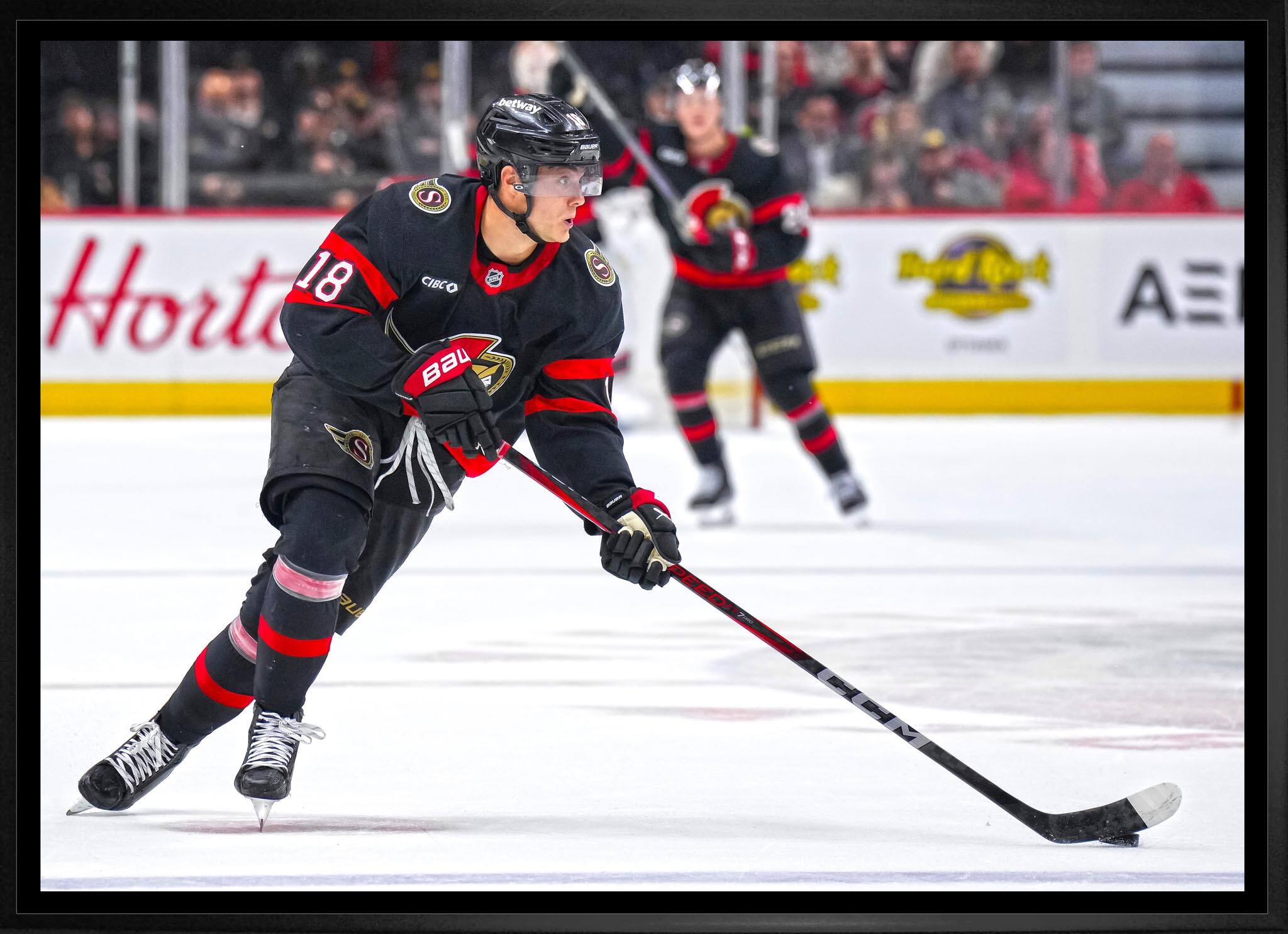 Tim Stutzle 20" x 29" Framed Canvas Ottawa Senators 31.5" x 22.5"