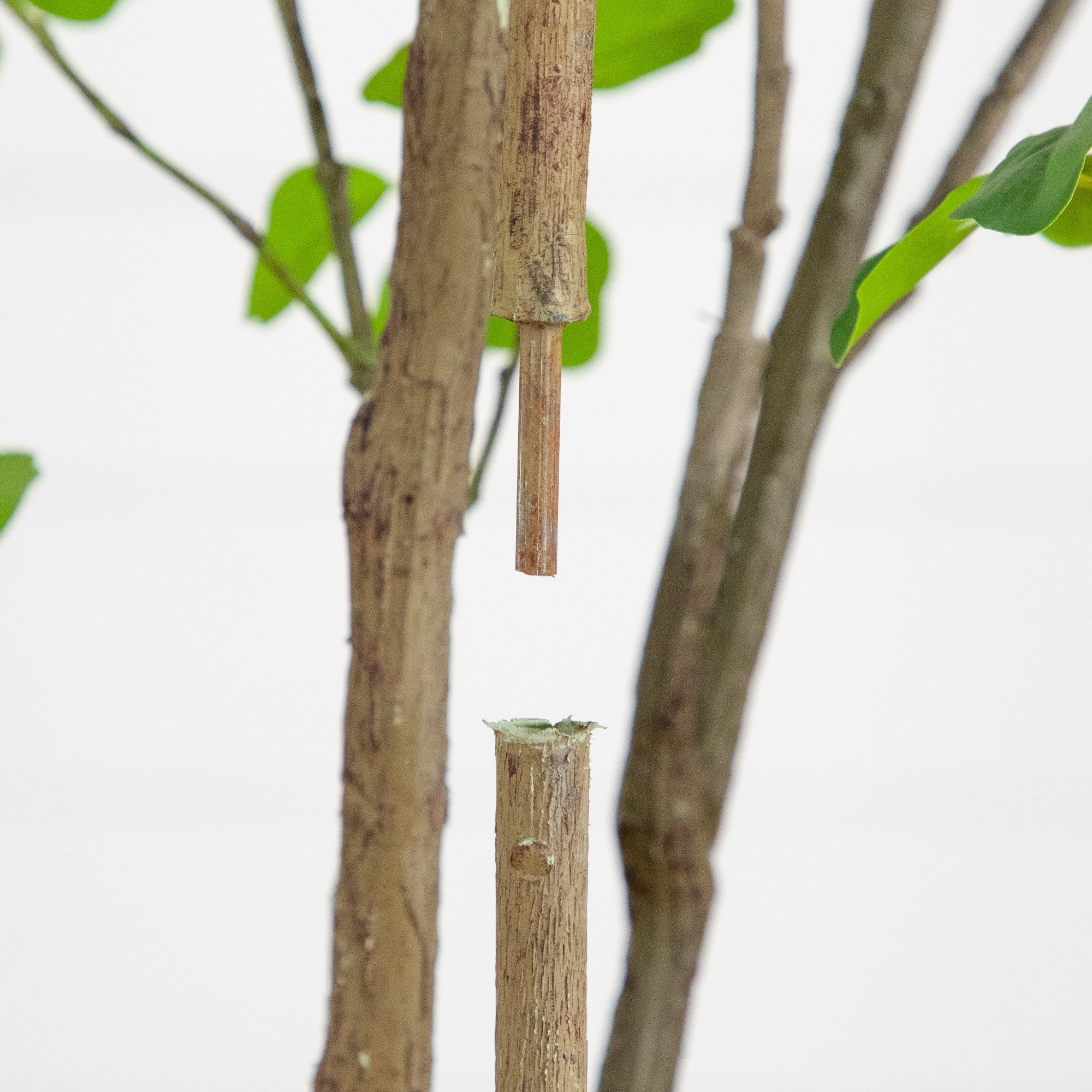 6ft. Artificial Dogwood Tree with Real Touch Leaves