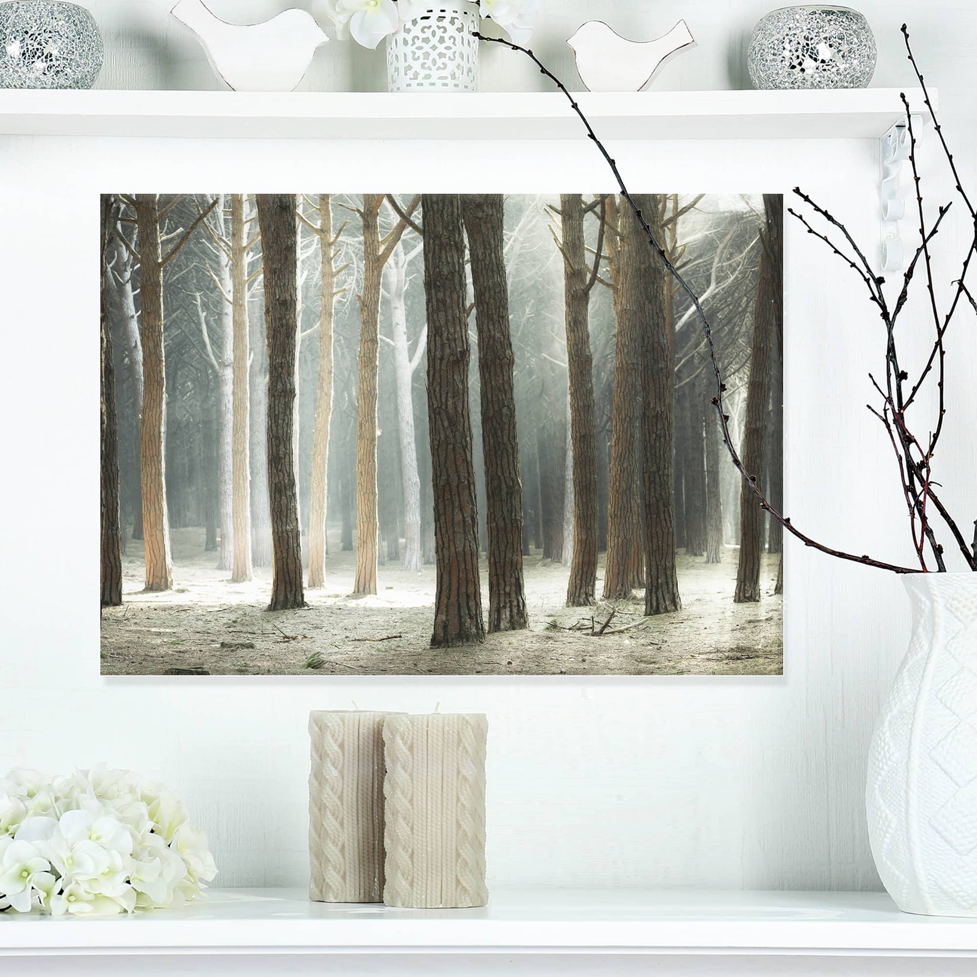 Designart - Maritime Pine Tree Forest with Rays