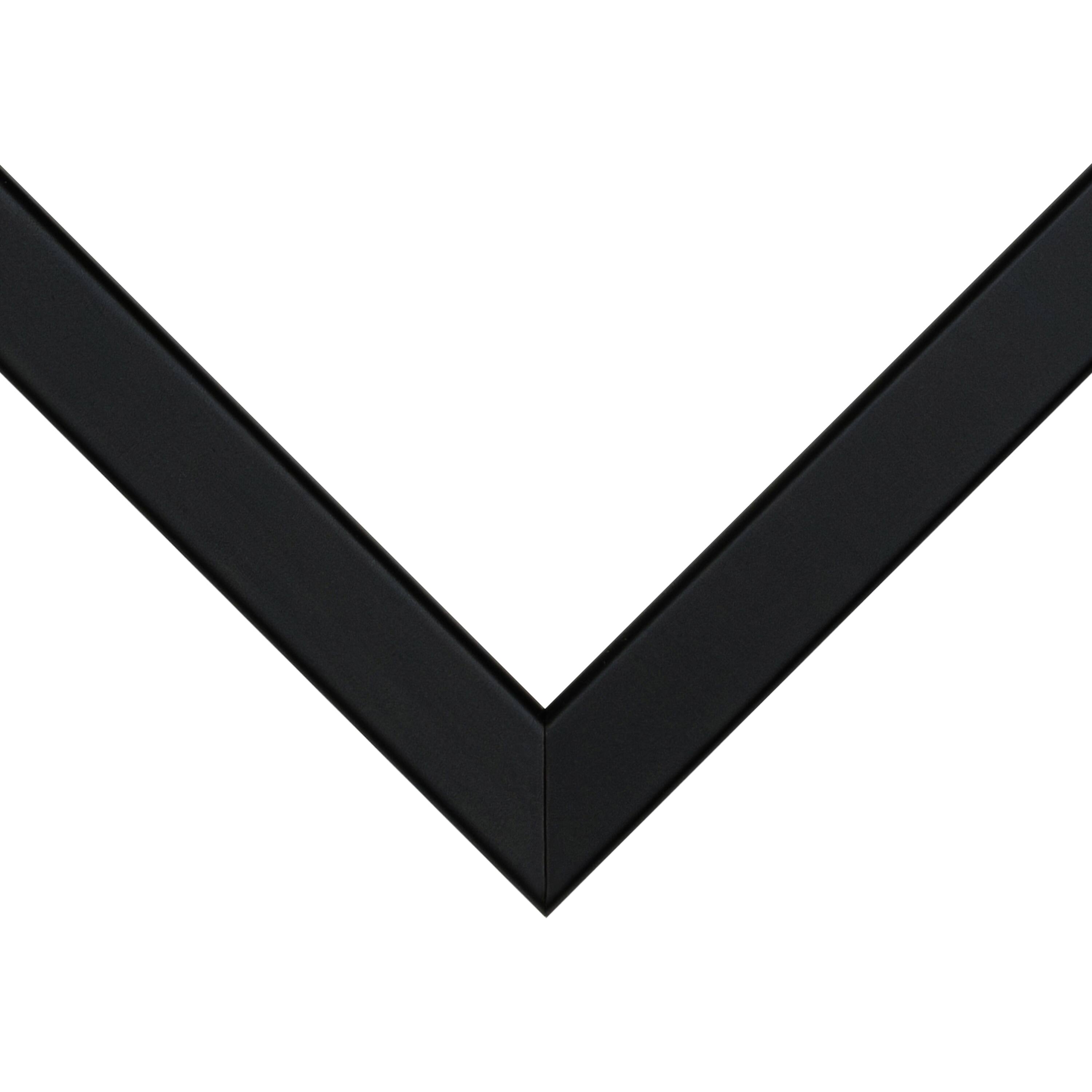 Frame USA TRUE Depth Black Single Image Picture Frame