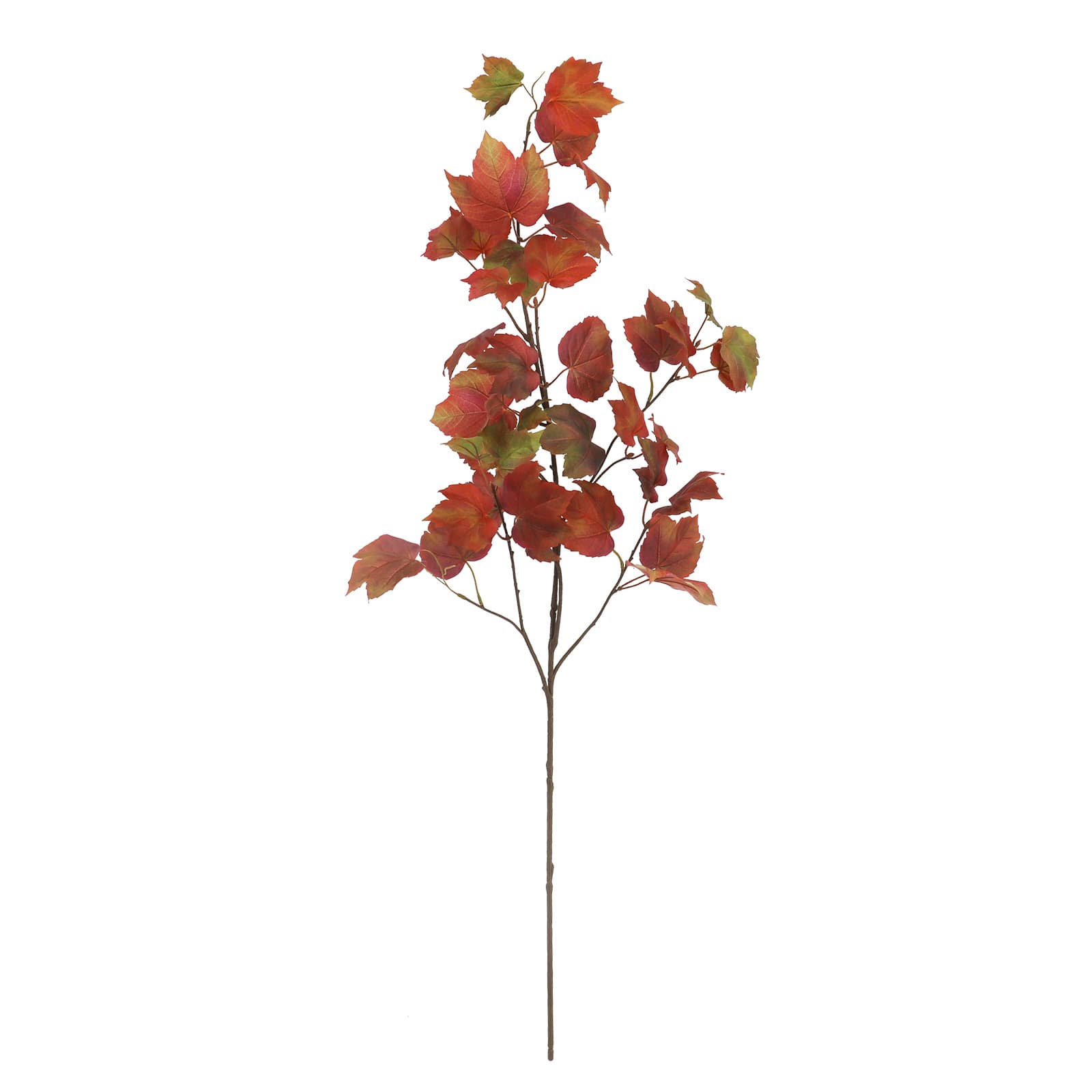 28" Red & Green Maple Stem by Ashland®