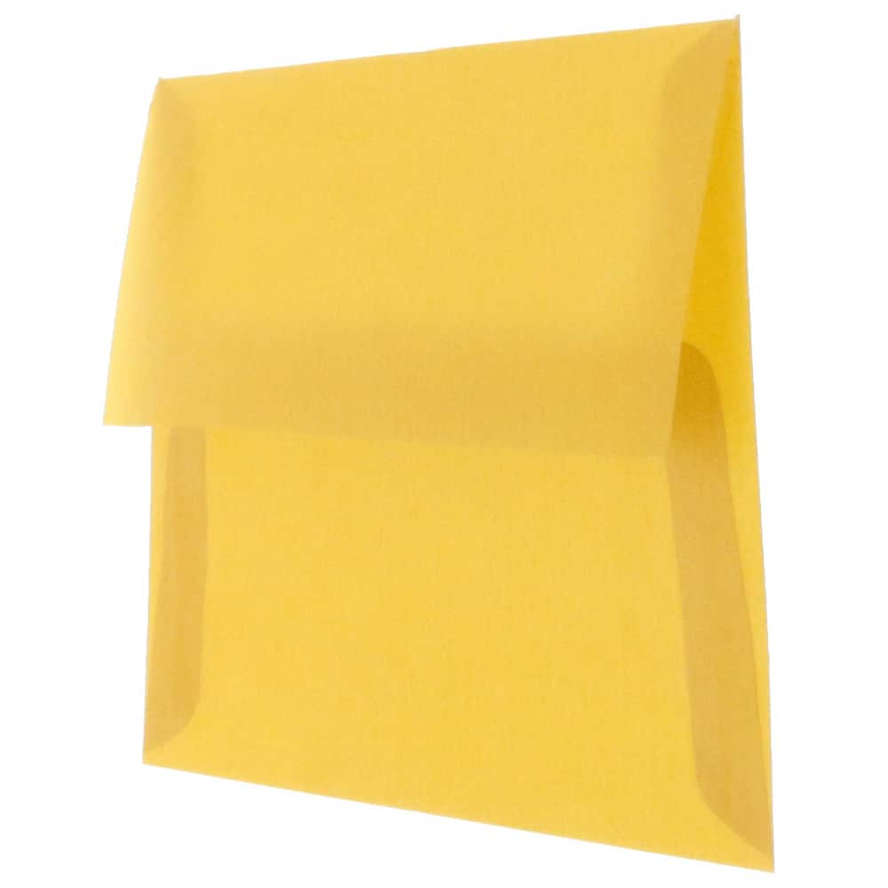 JAM Paper A2 Translucent Vellum Invitation Envelopes, 25ct.