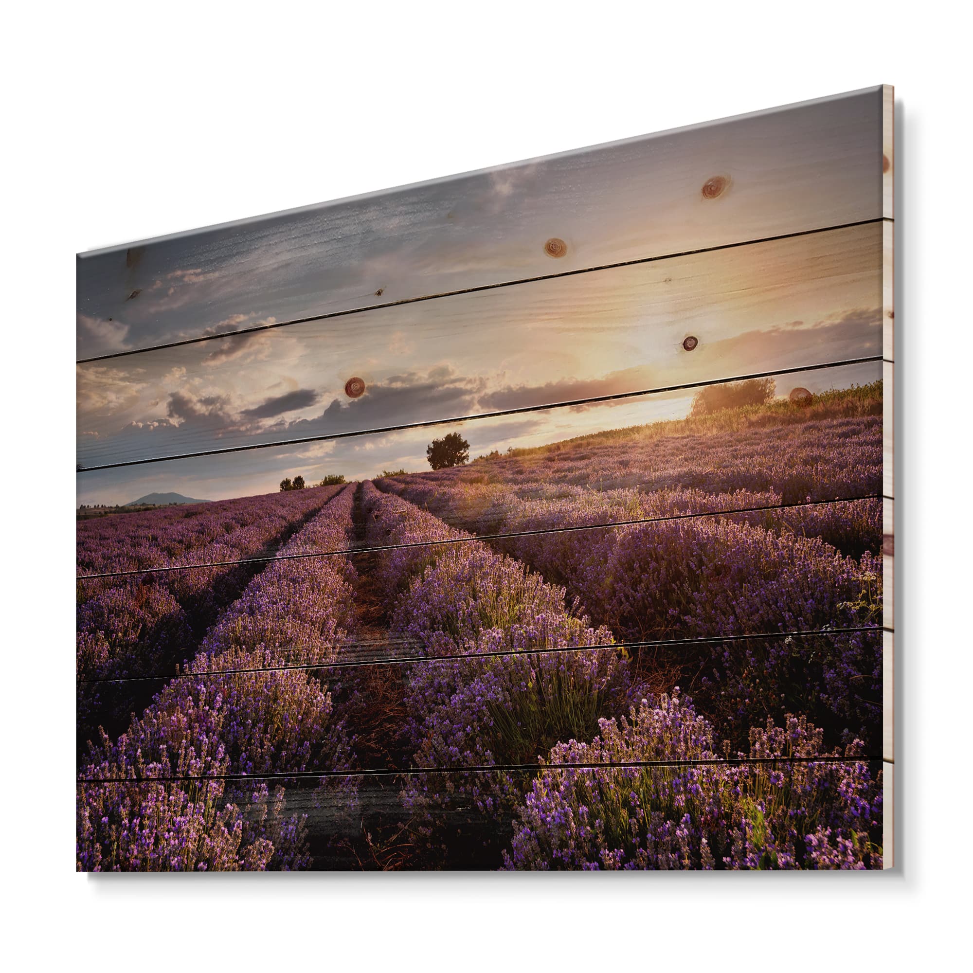 Designart - Sunrise & Dramatic Clouds Over Lavender Field V