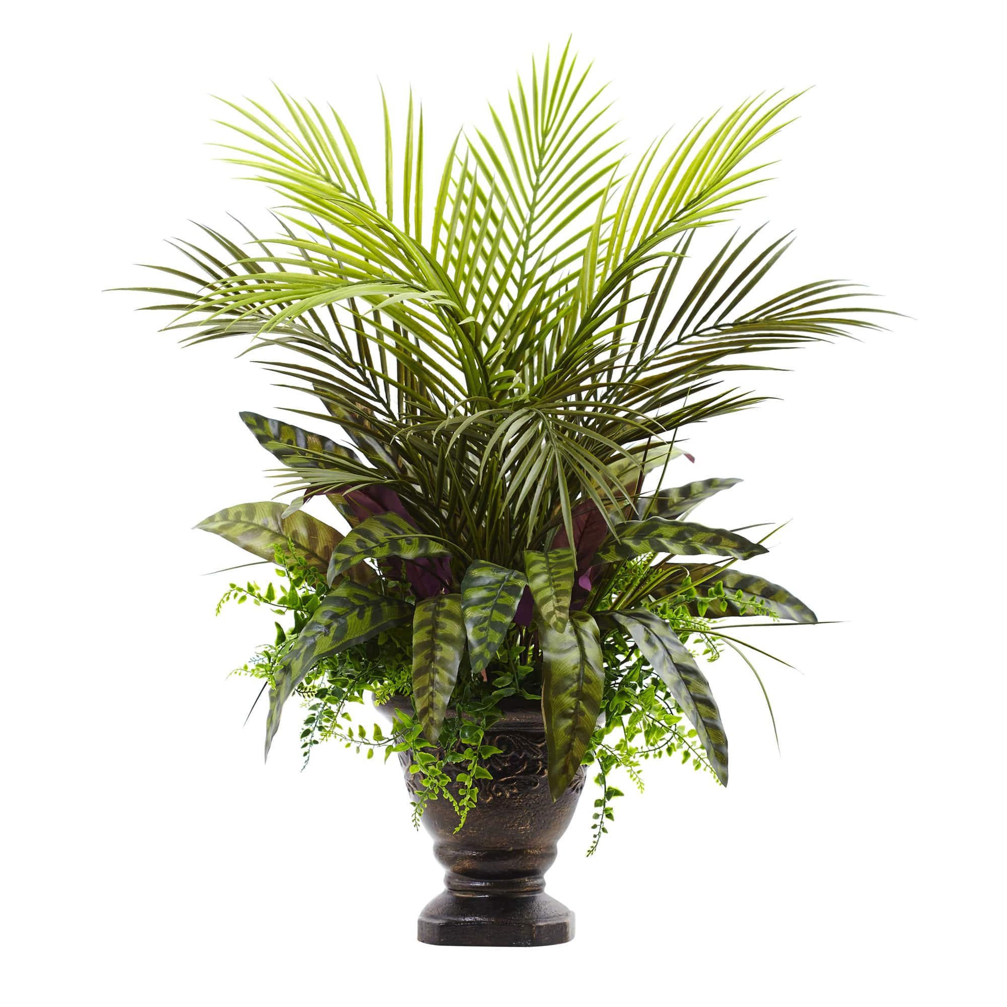 2ft. Mixed Areca Palm, Fern & Peacock in Planter