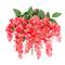 16" Wisteria Bush by Ashland®