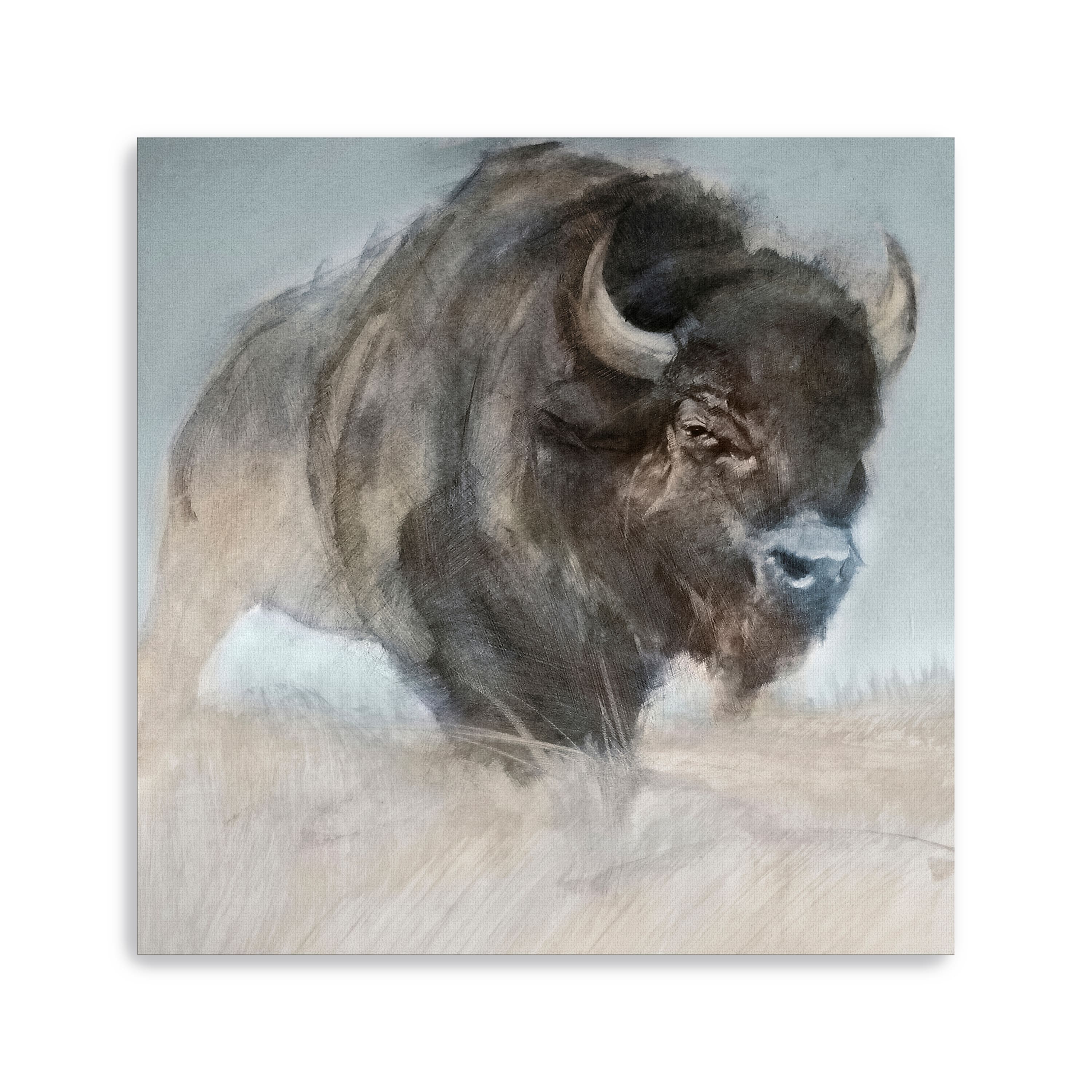 Prairie Bison Canvas Giclee