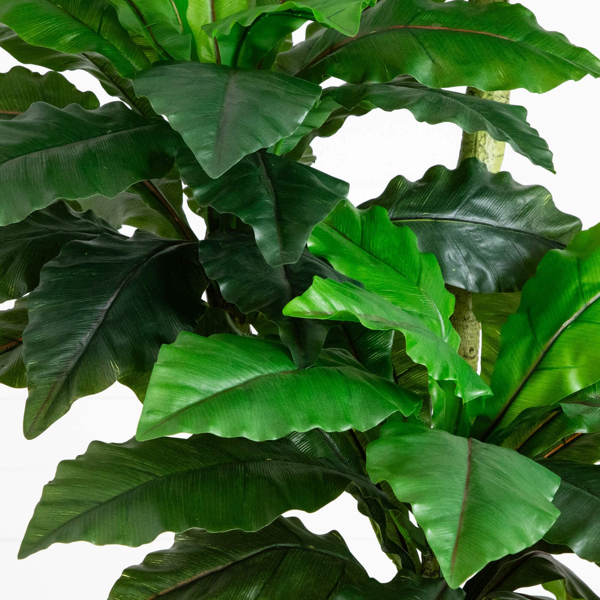 6ft. UV Resistant Artificial Bird Nest Fern Tree (Indoor/Outdoor)