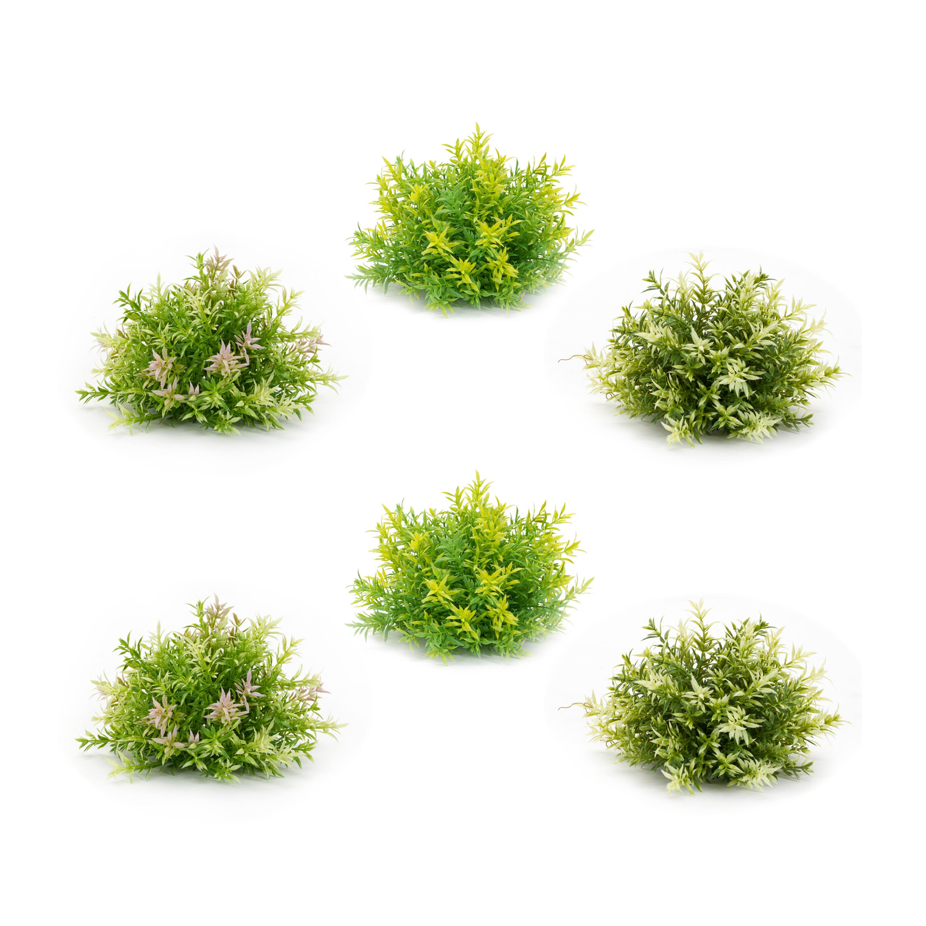 Variegated Mini Leaf Half Orbs