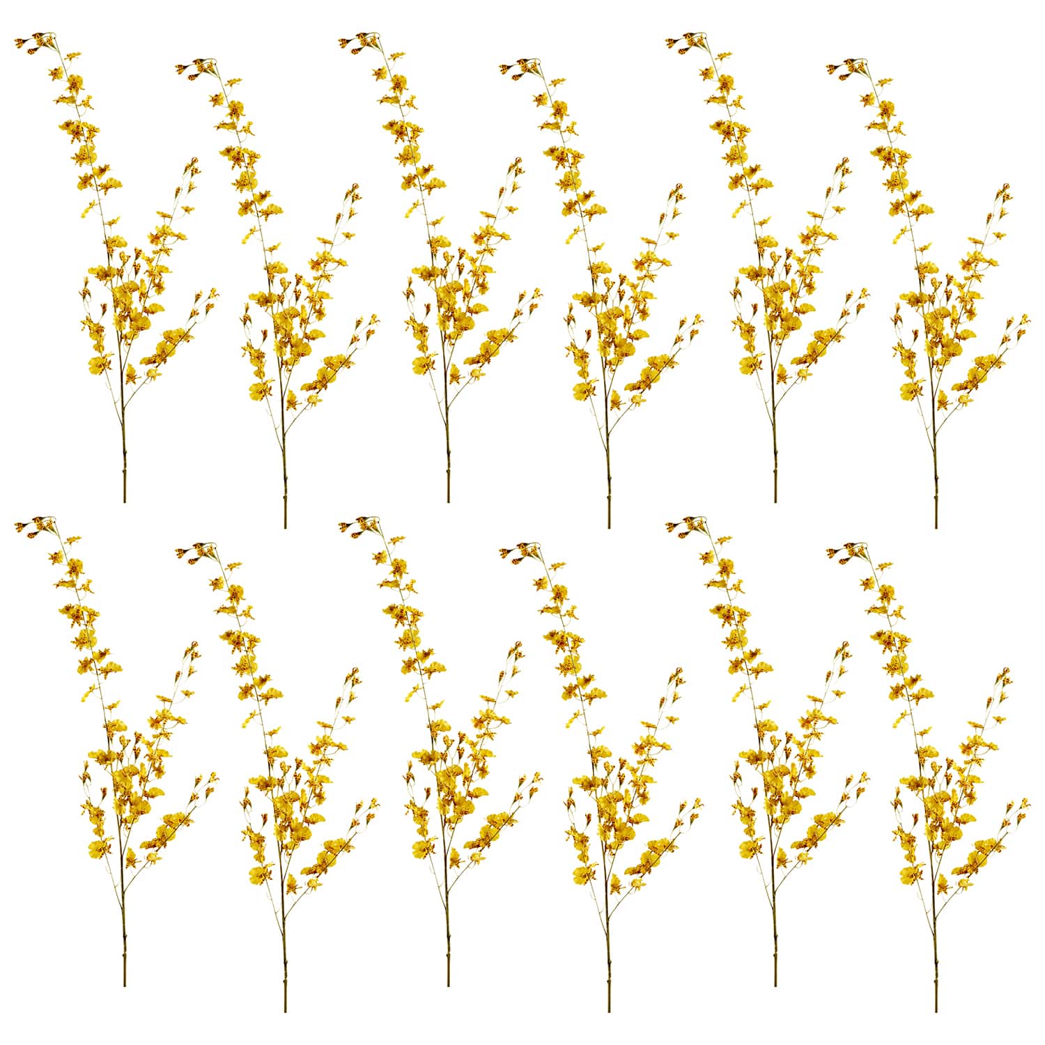 12 Pack: Yellow Dancing Orchid by Ashland®