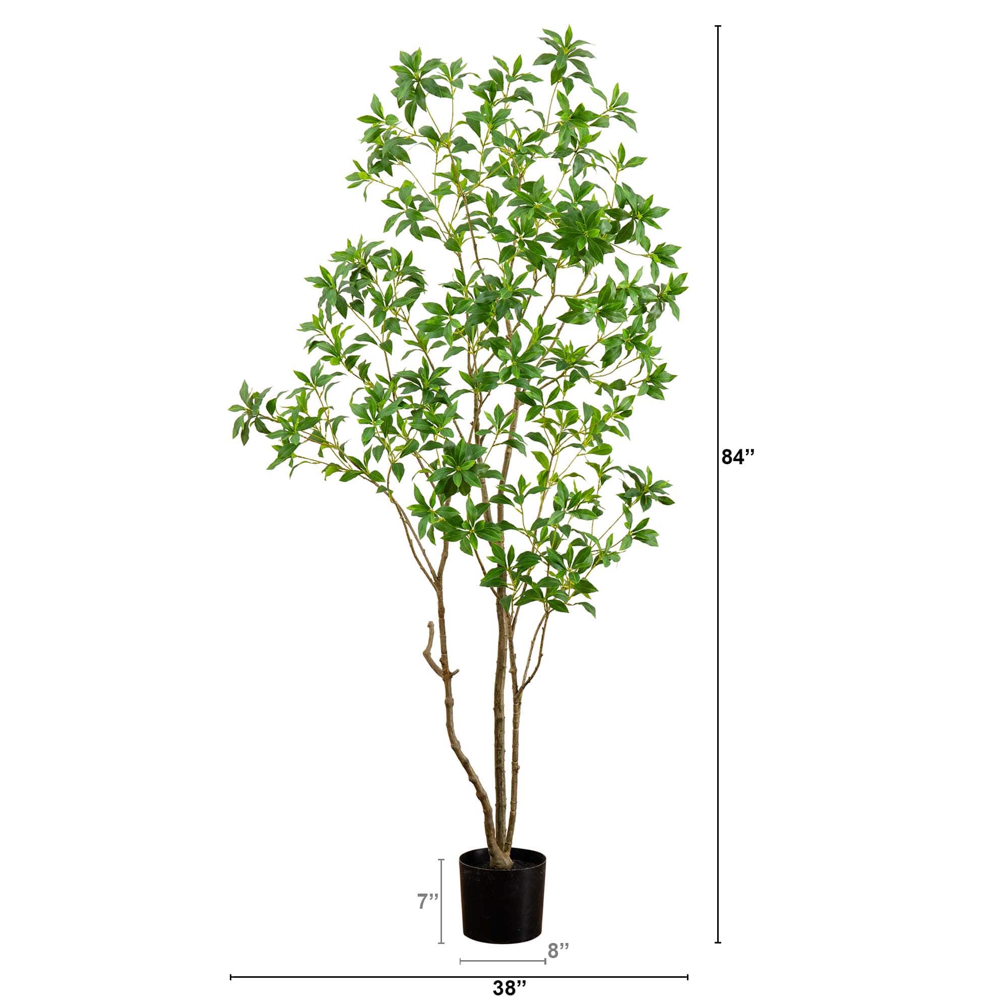 7ft. Potted Minimalist Japanese Pieris Tree with Real Touch Leaves