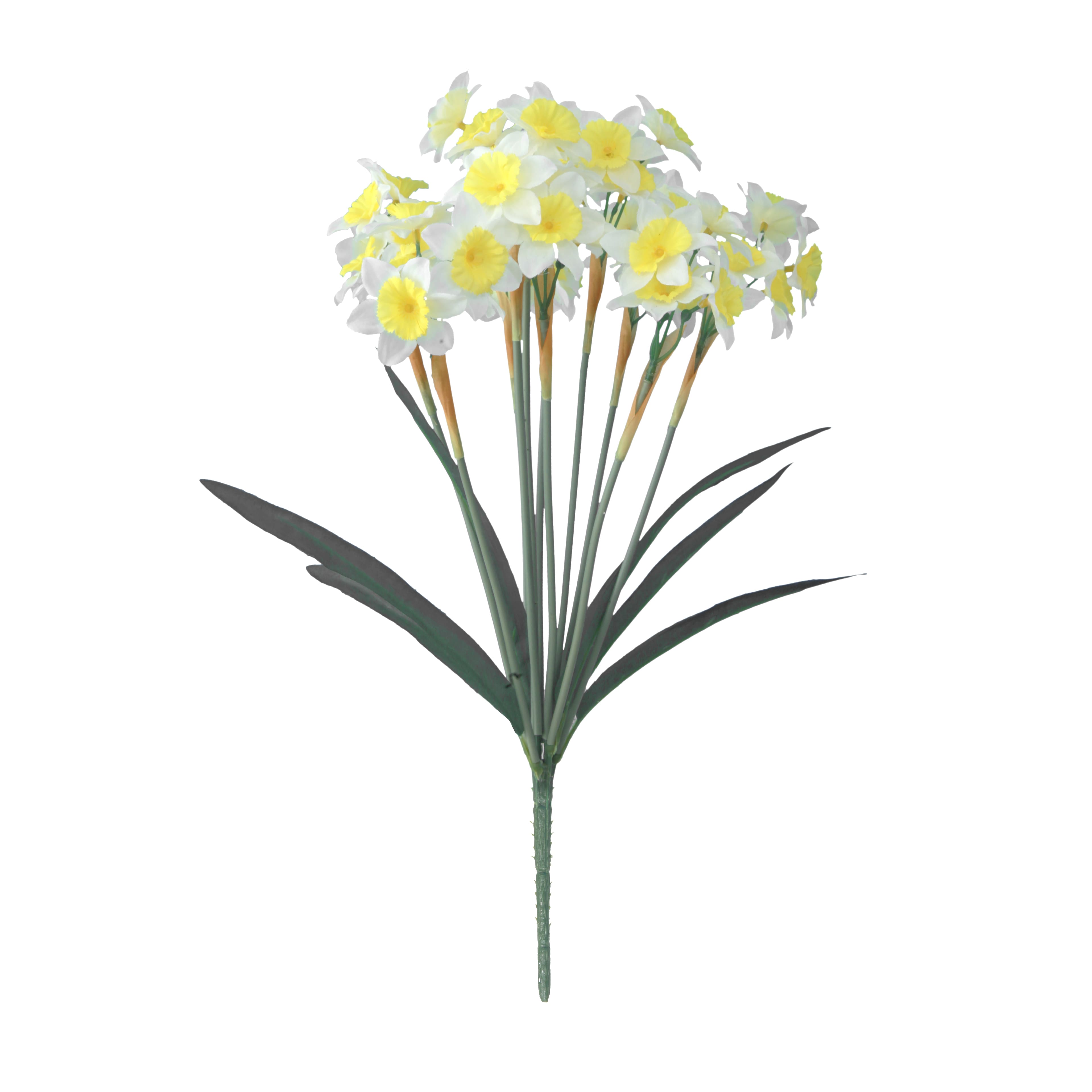 19" Narcissus Bush by Ashland®