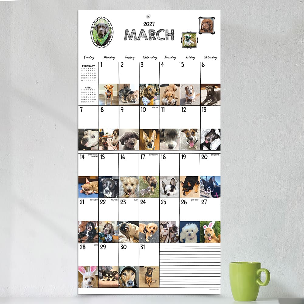 2027 Dog-A-Day Wall Calendar