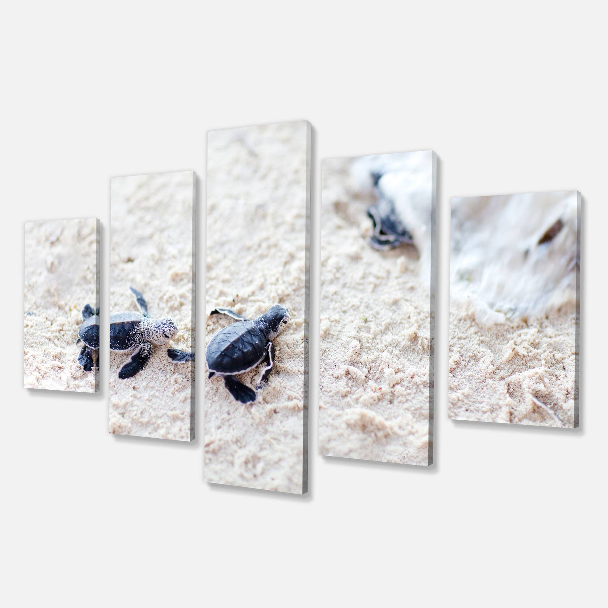 Designart - Baby Green Turtles on Sand - Oversized Animal Wall Art