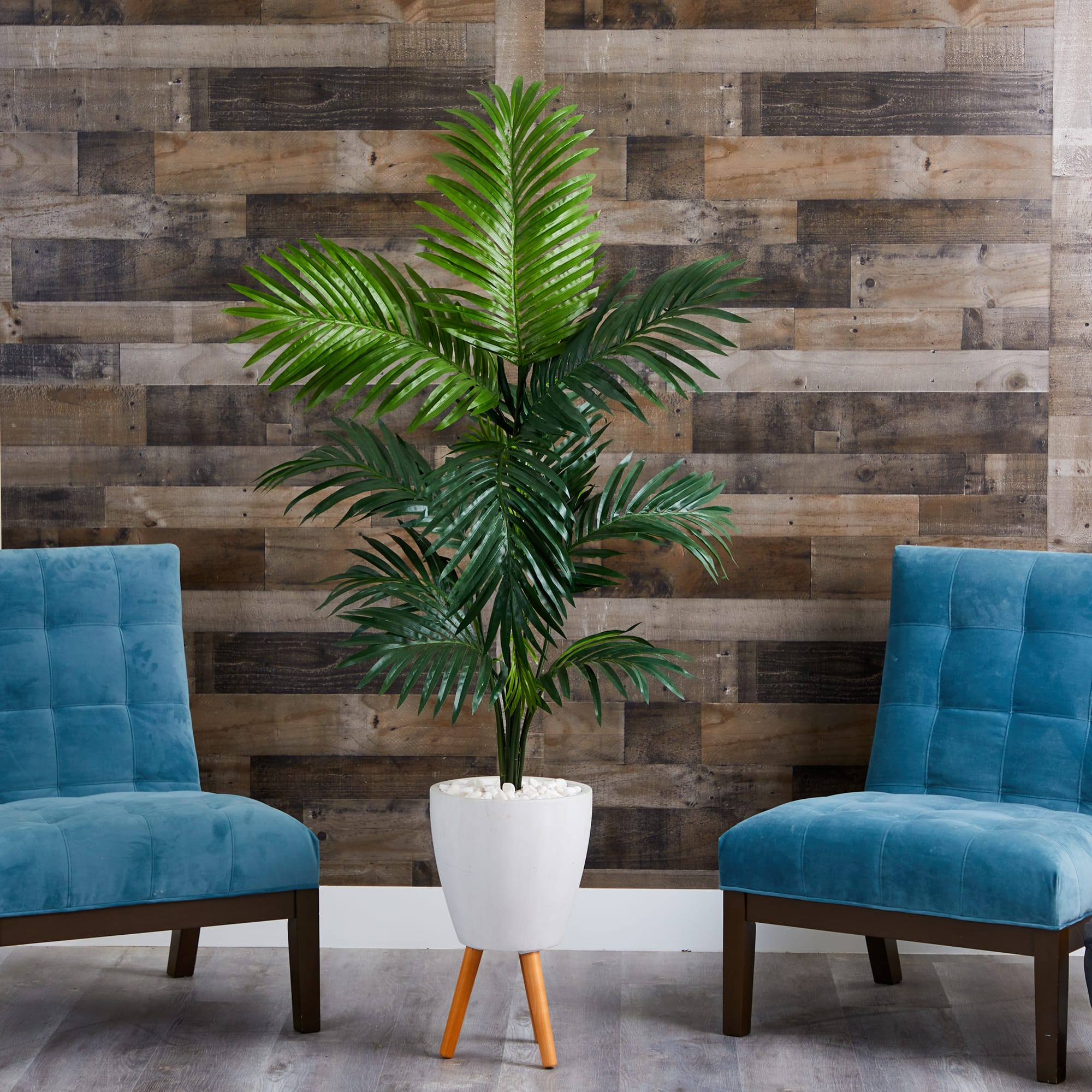 6ft. Kentia Palm Tree in White Planter with Stand