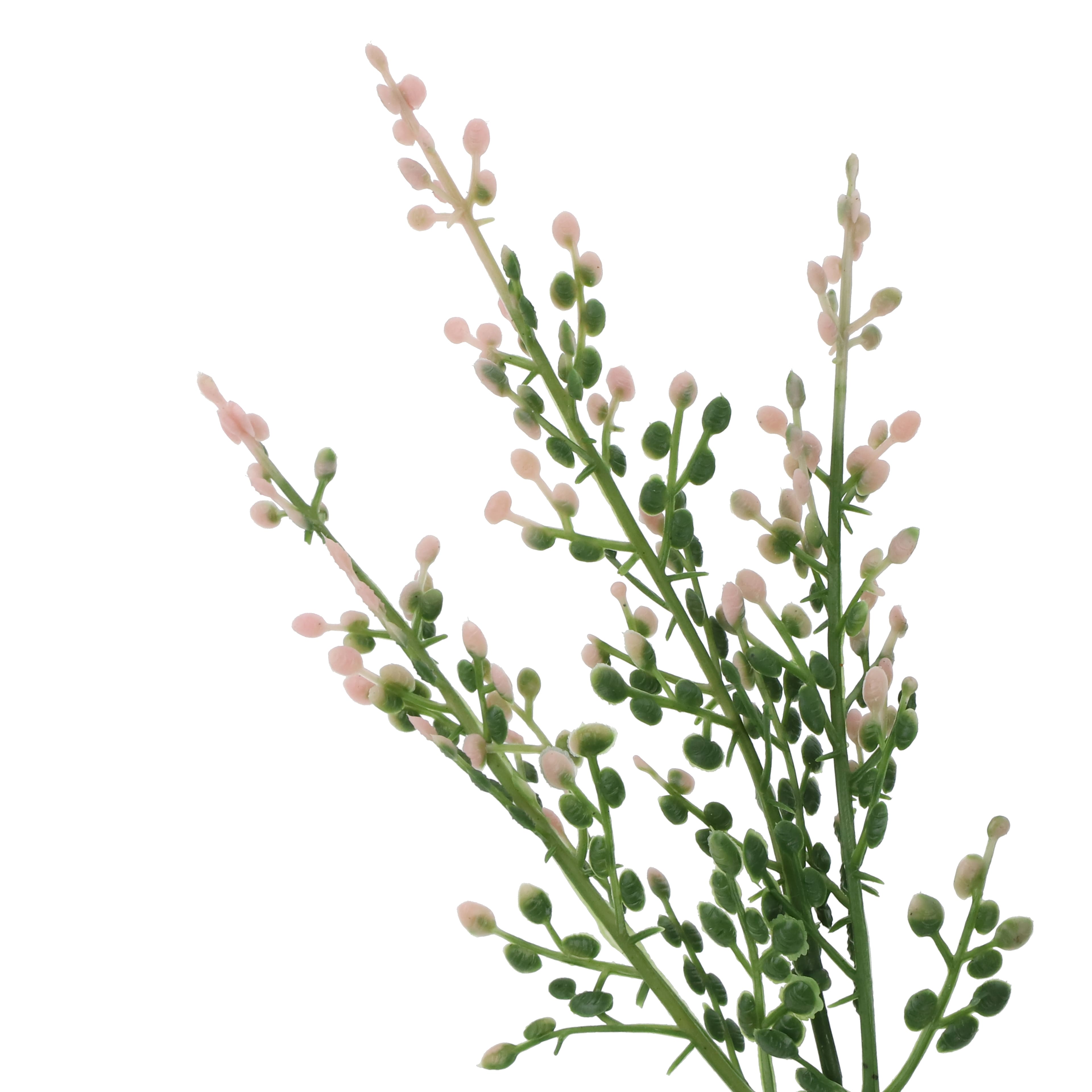 14" Berry Bush by Ashland®