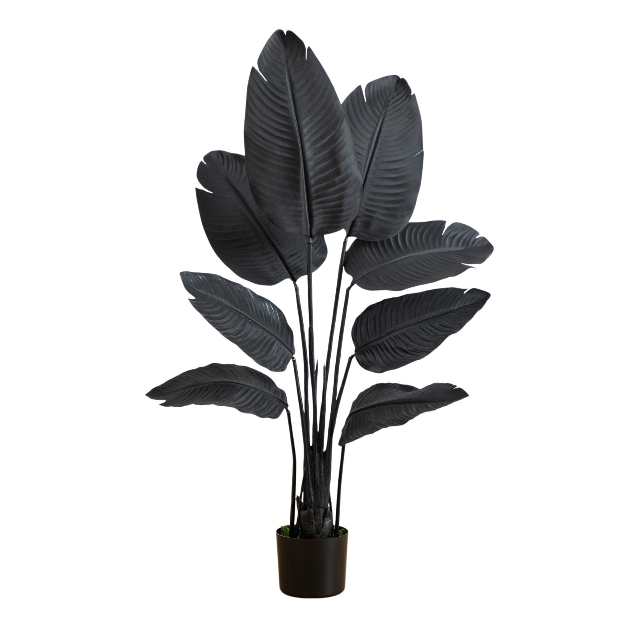 4ft. Artificial Halloween Black Travelers Palm Tree
