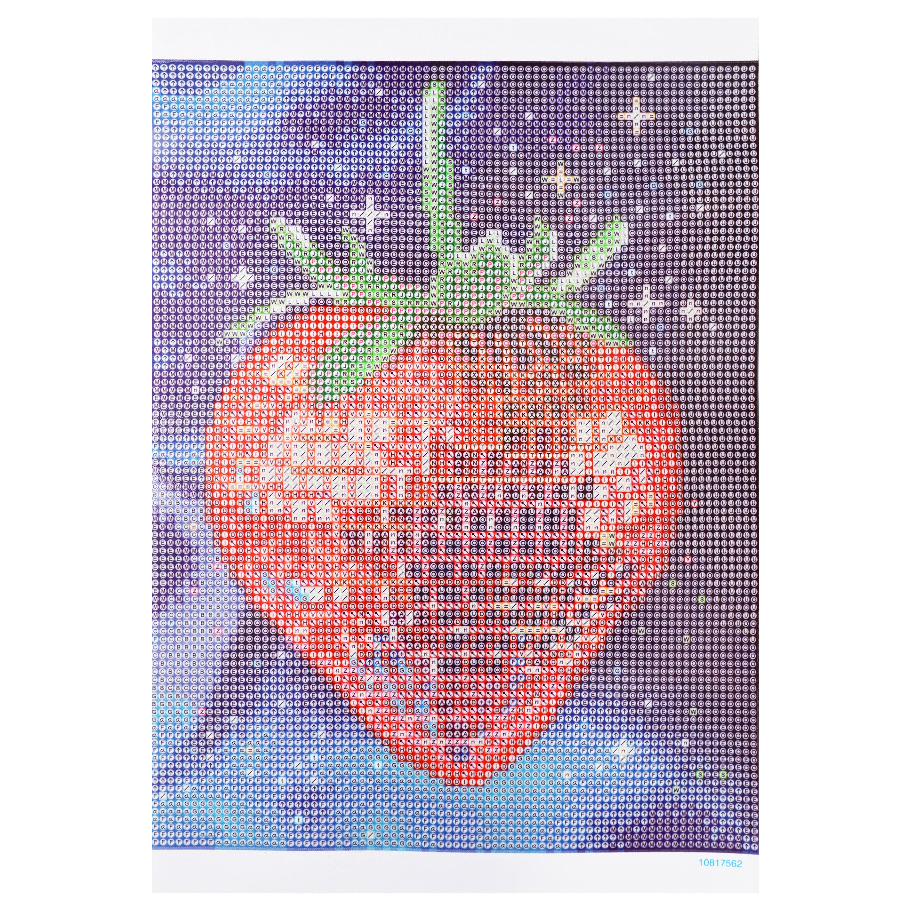 8.5" x 11" Strawberry Diamond Art Kit with Wooden Frame by Make Market®