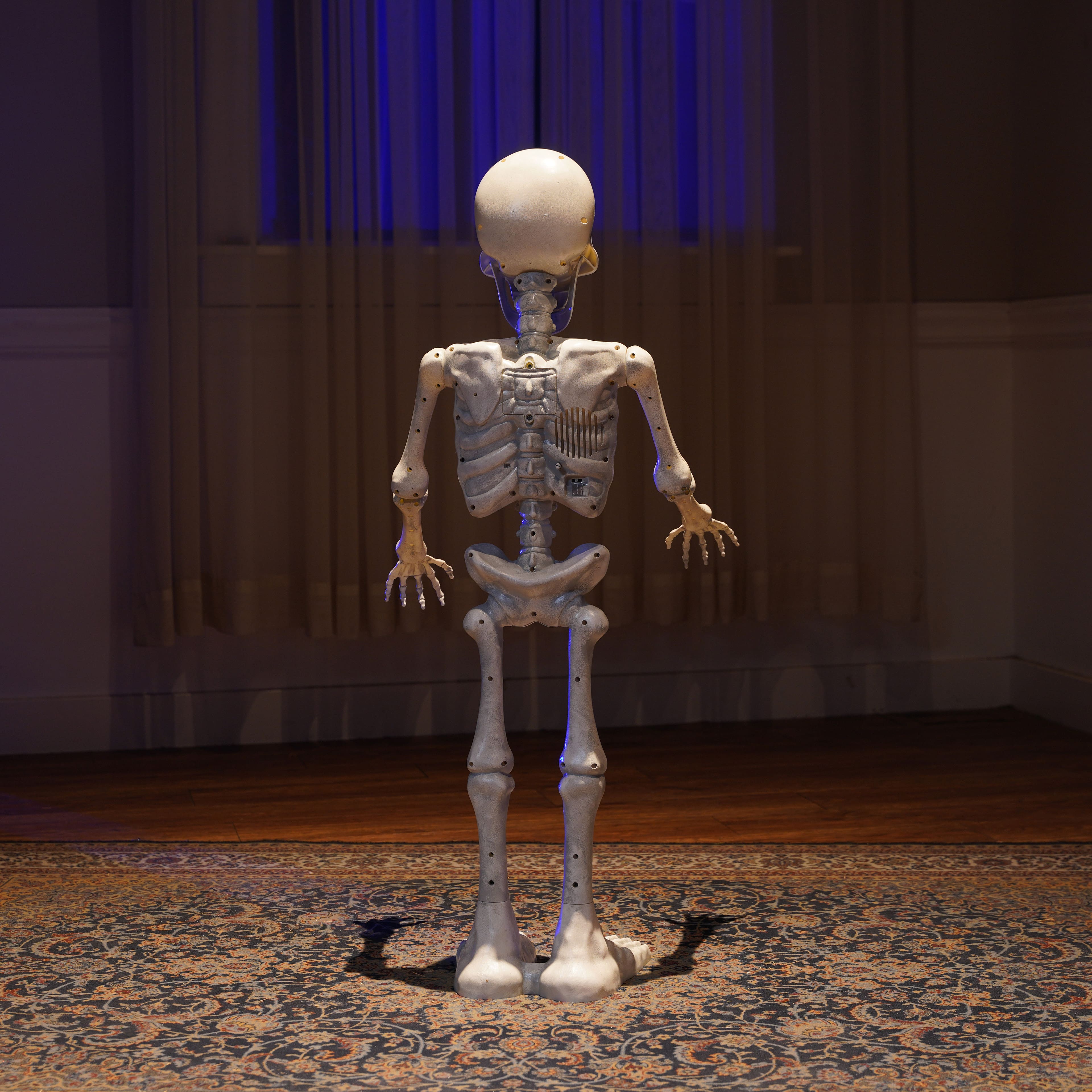 3ft. Animated Skeleton Porch Greeter by Ashland®