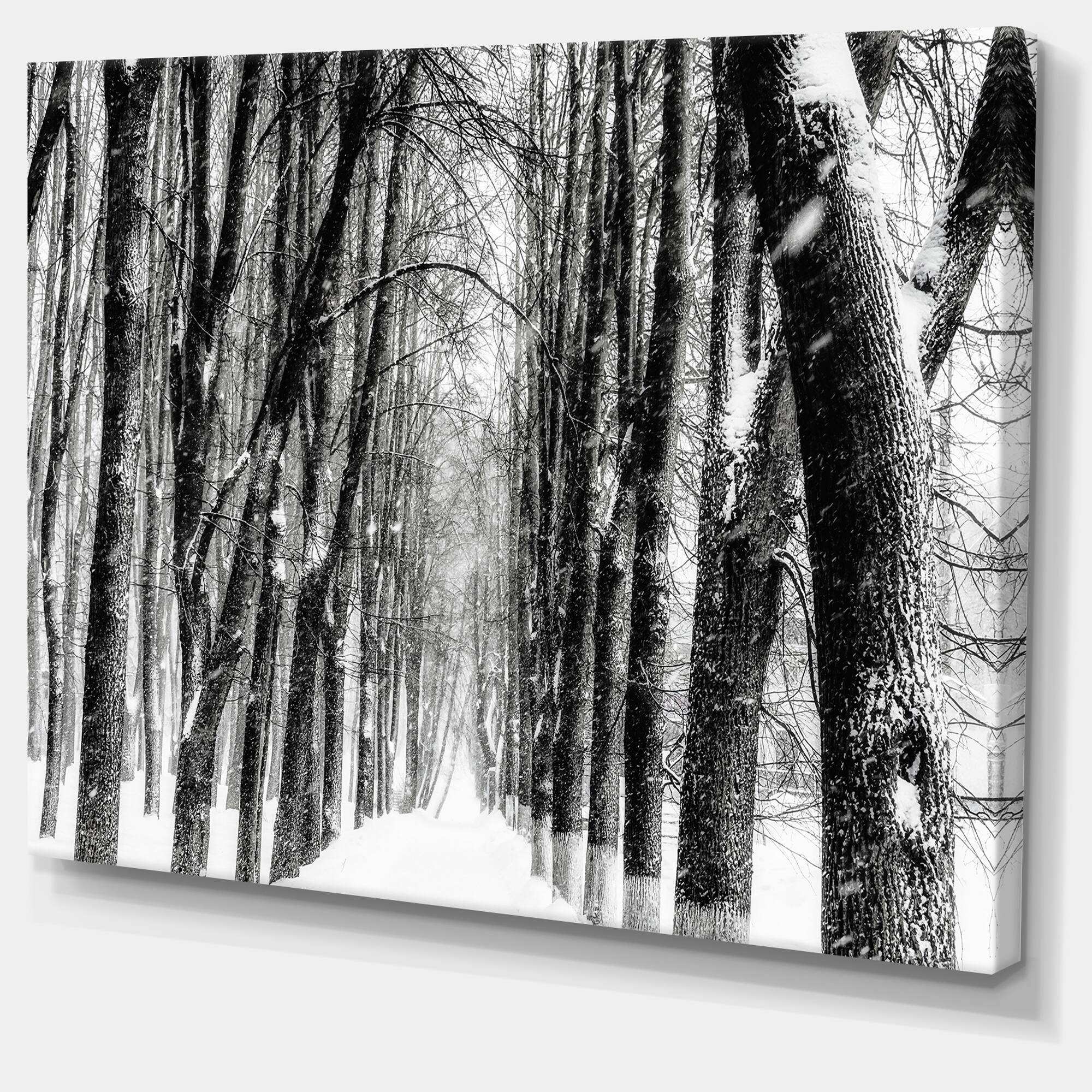 Designart - Snowy Forest Black and White - Modern Forest Canvas Art