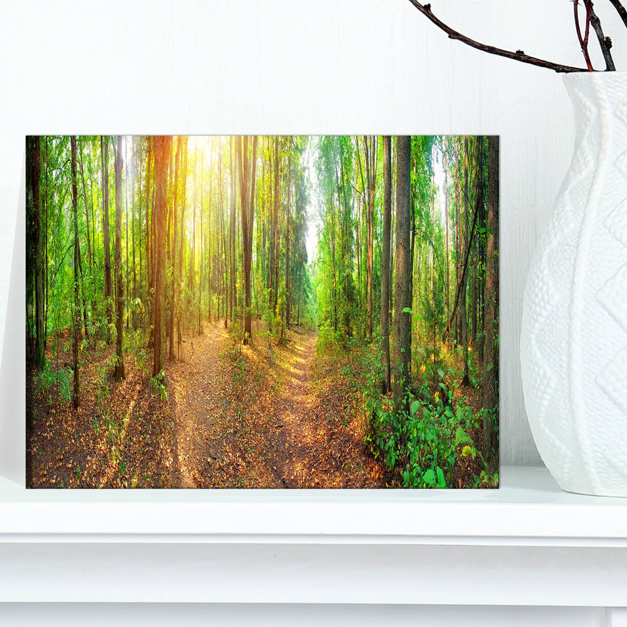 Designart - Dense Forest Panorama