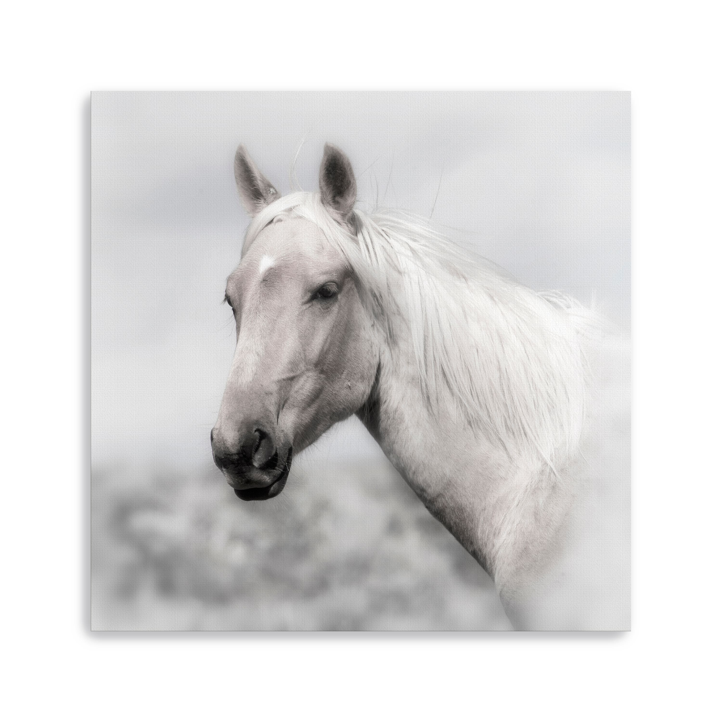 Wild and Free Canvas Giclee