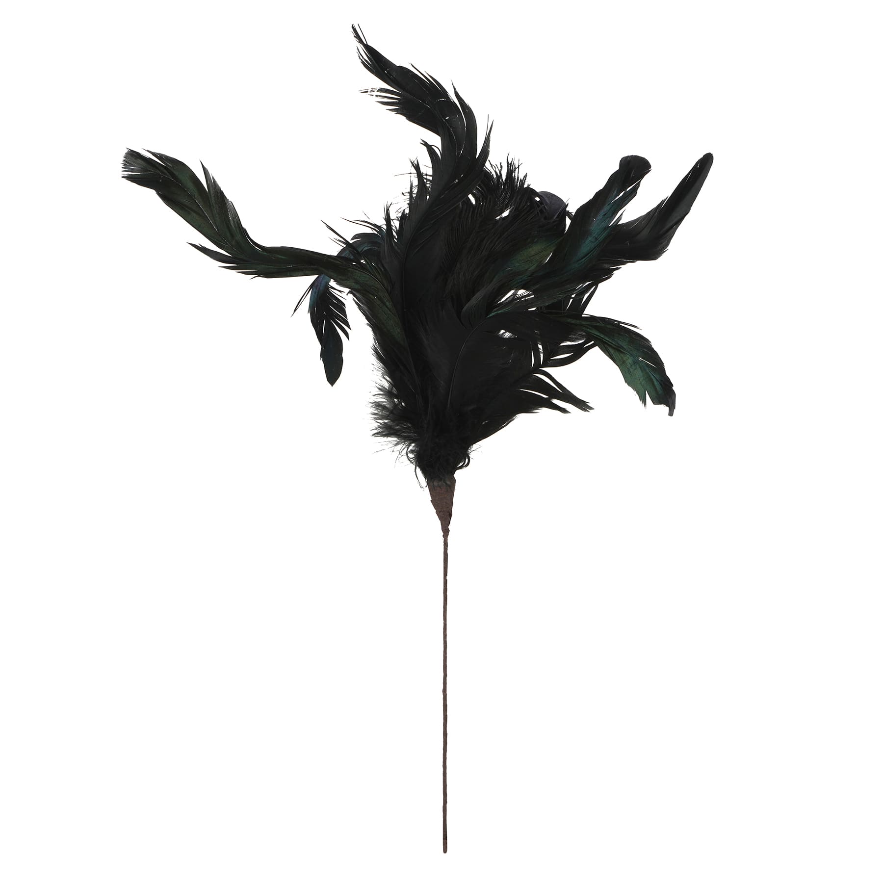 15.75" Feather Pick by Ashland®