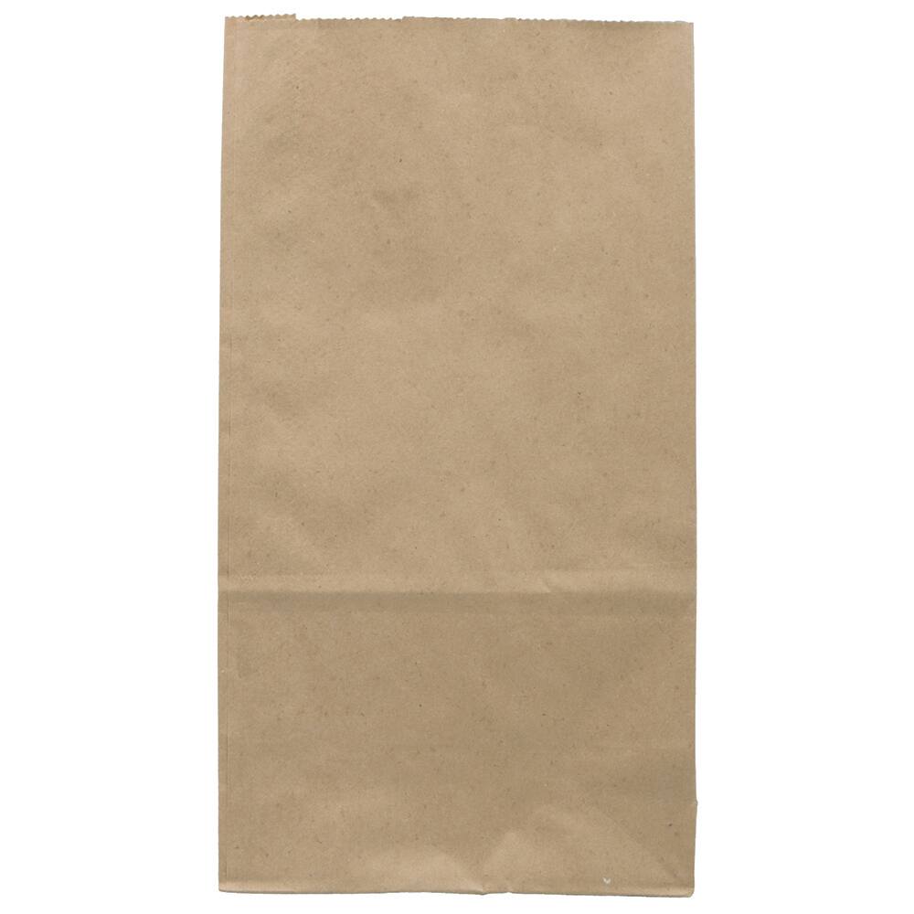 JAM Paper Brown Kraft Lunch Bags, 500ct.