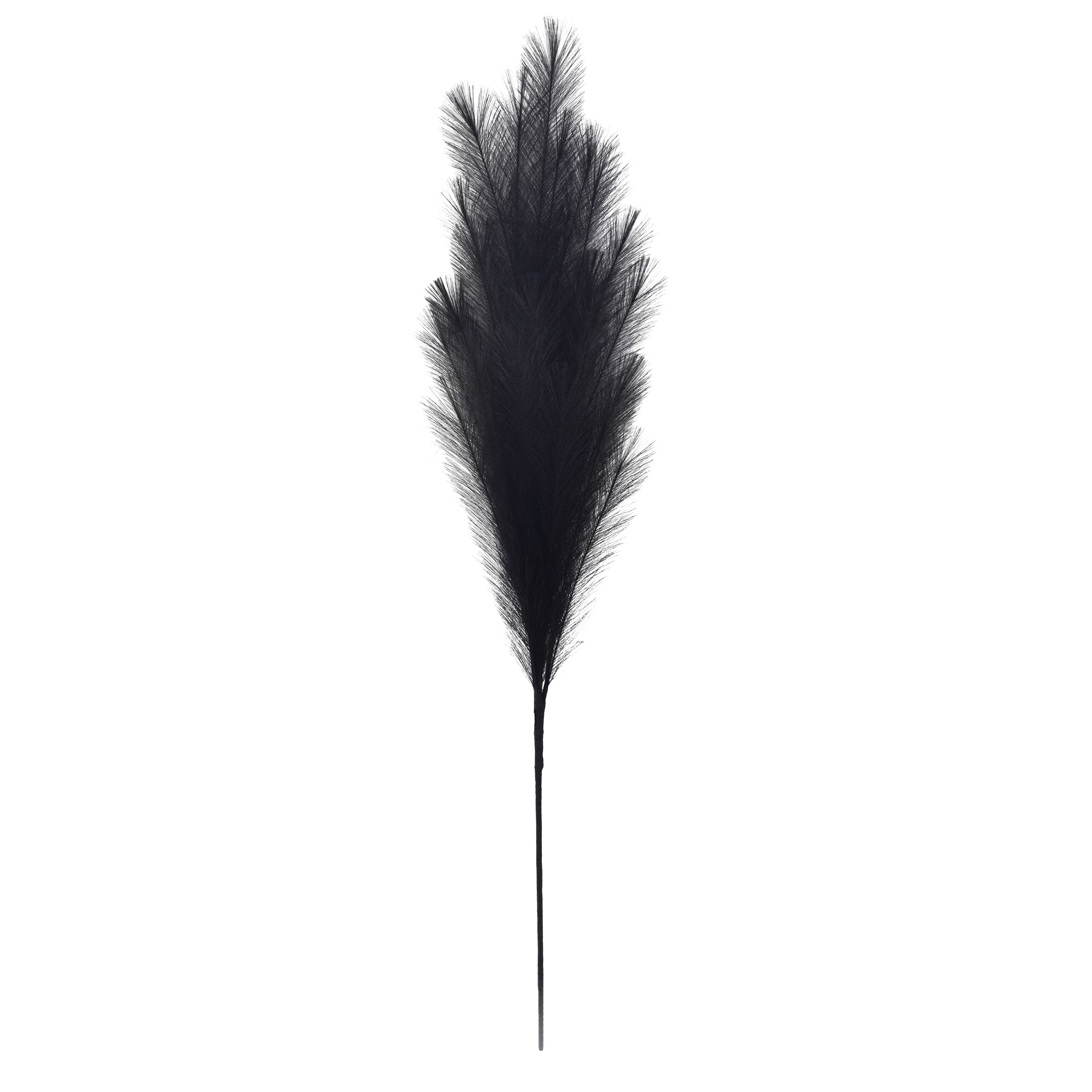 42" Black Pampas Grass Stem by Ashland®