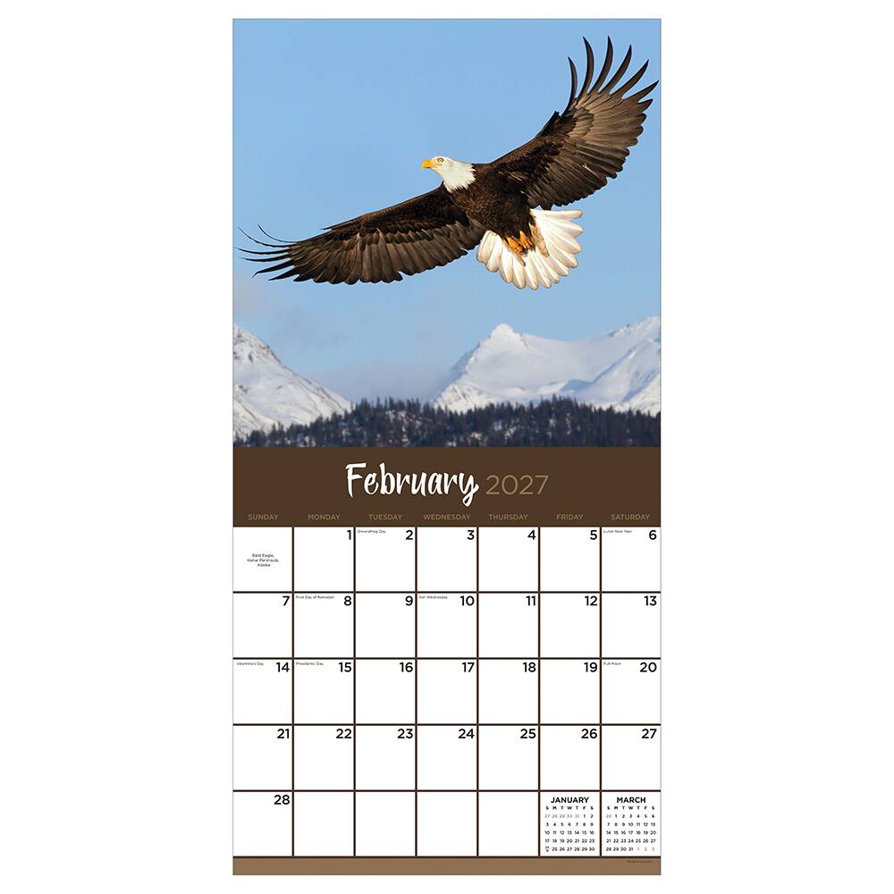 2027 Wild Wall Calendar
