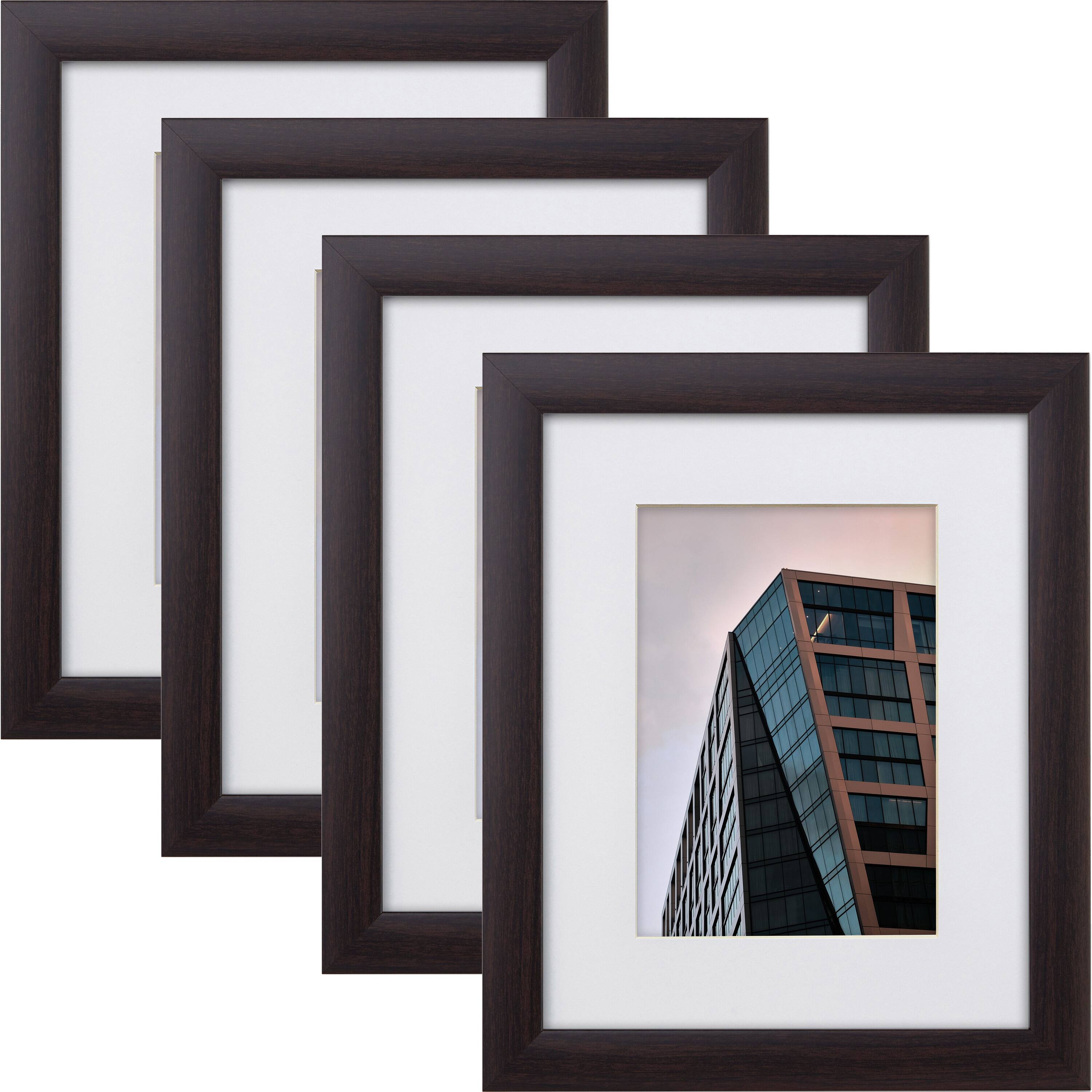 Craig Frames 4 Pack: Contemporary Brazilian Walnut Picture Frame with Mat