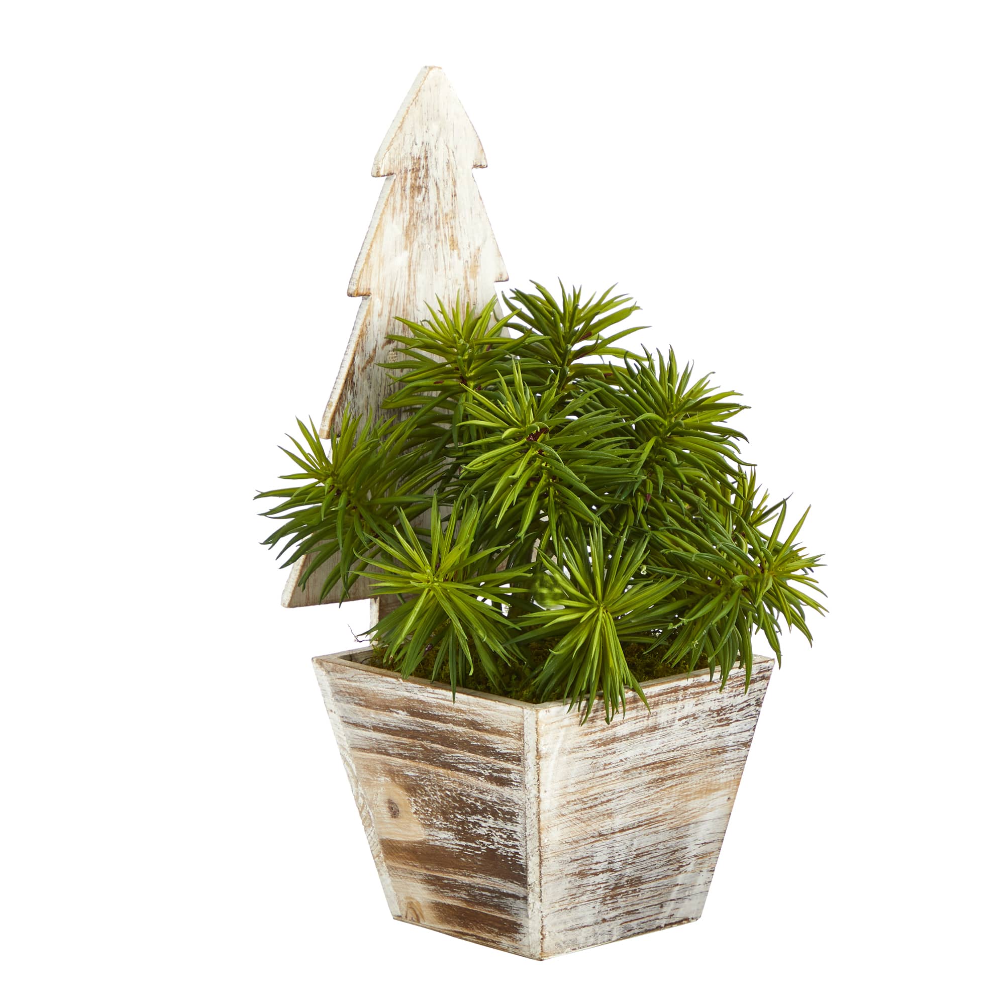 15" Unlit Succulent Artificial Plant in Christmas Tree Planter