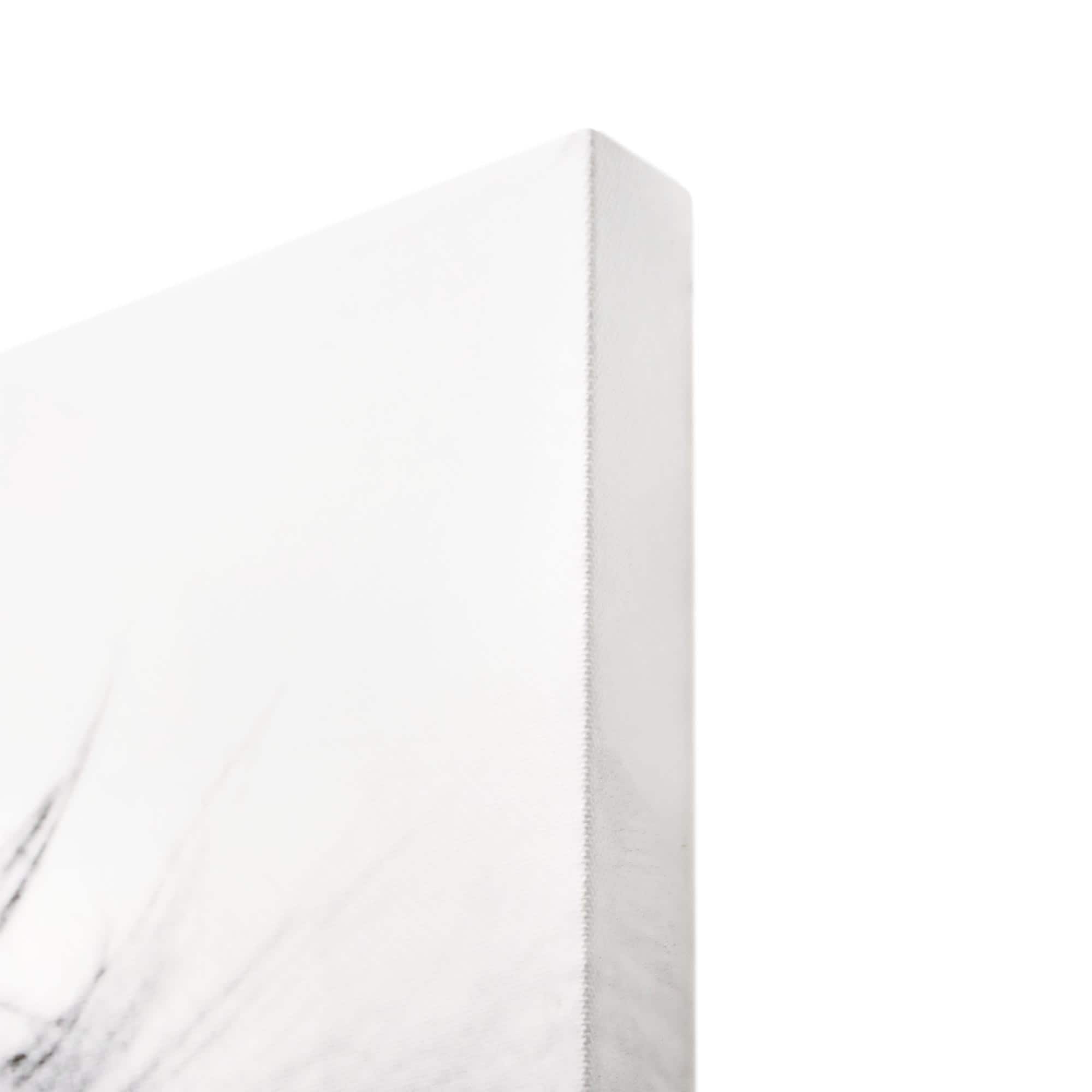Regal Lion Black & White Glossy Wall Art