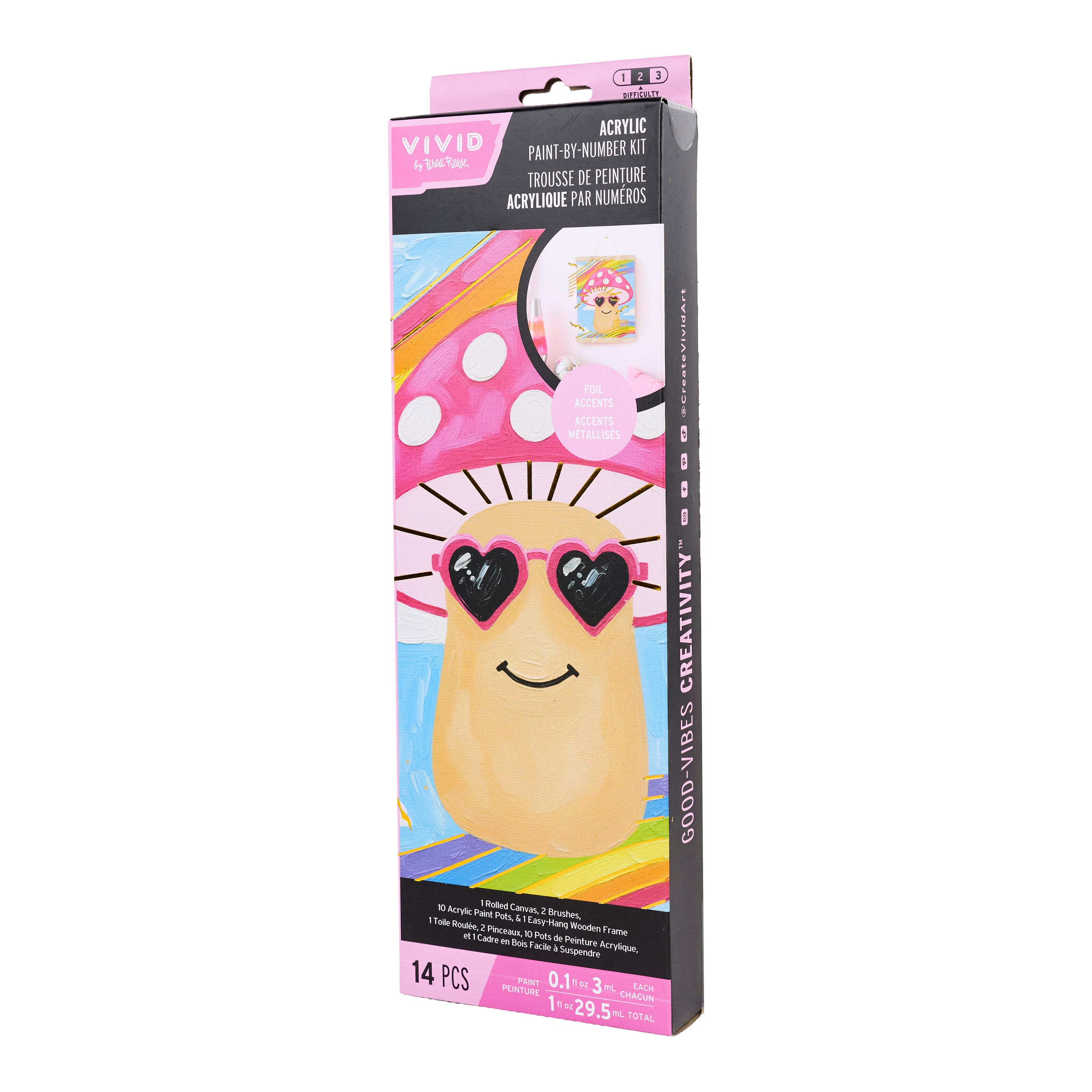 Vivid by Brea Reese® Happy Mushroom Canvas Acrylic Paint-by-Number Kit