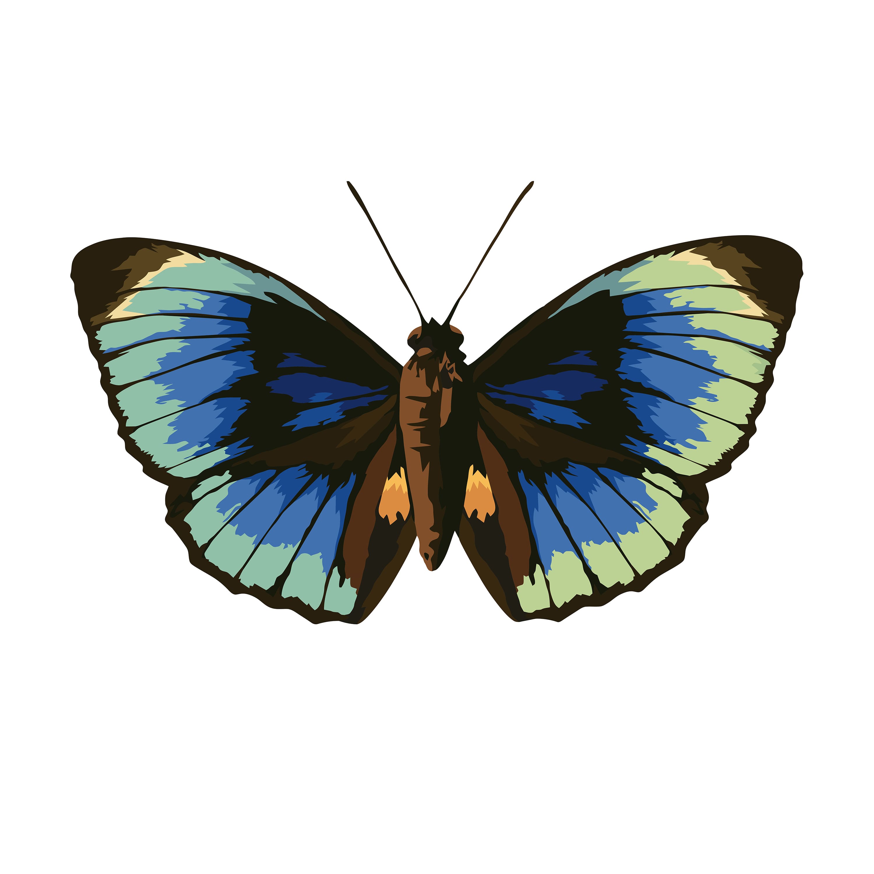 Jonathan Adler x Michaels 30" x 20" Butterfly Paint-By-Number Kit